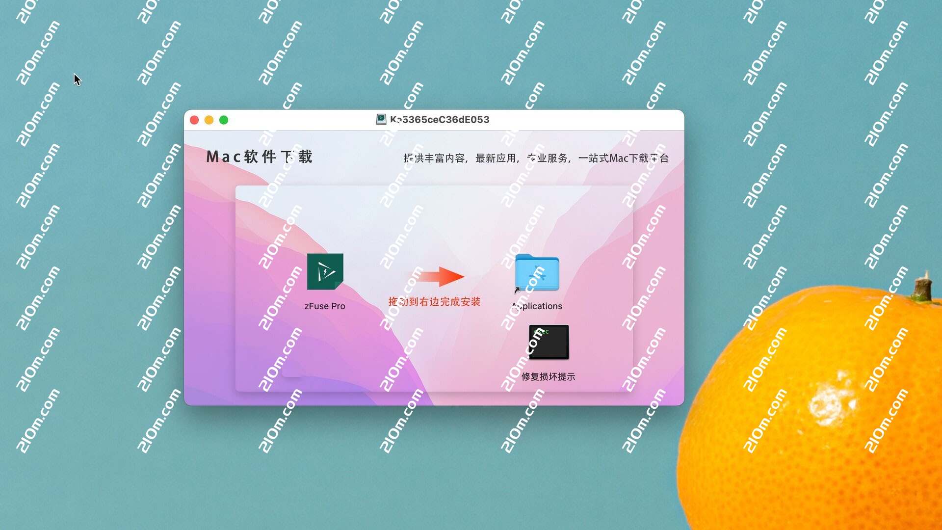 轻播zFuse Pro for Mac(简单小巧的视频播放器)