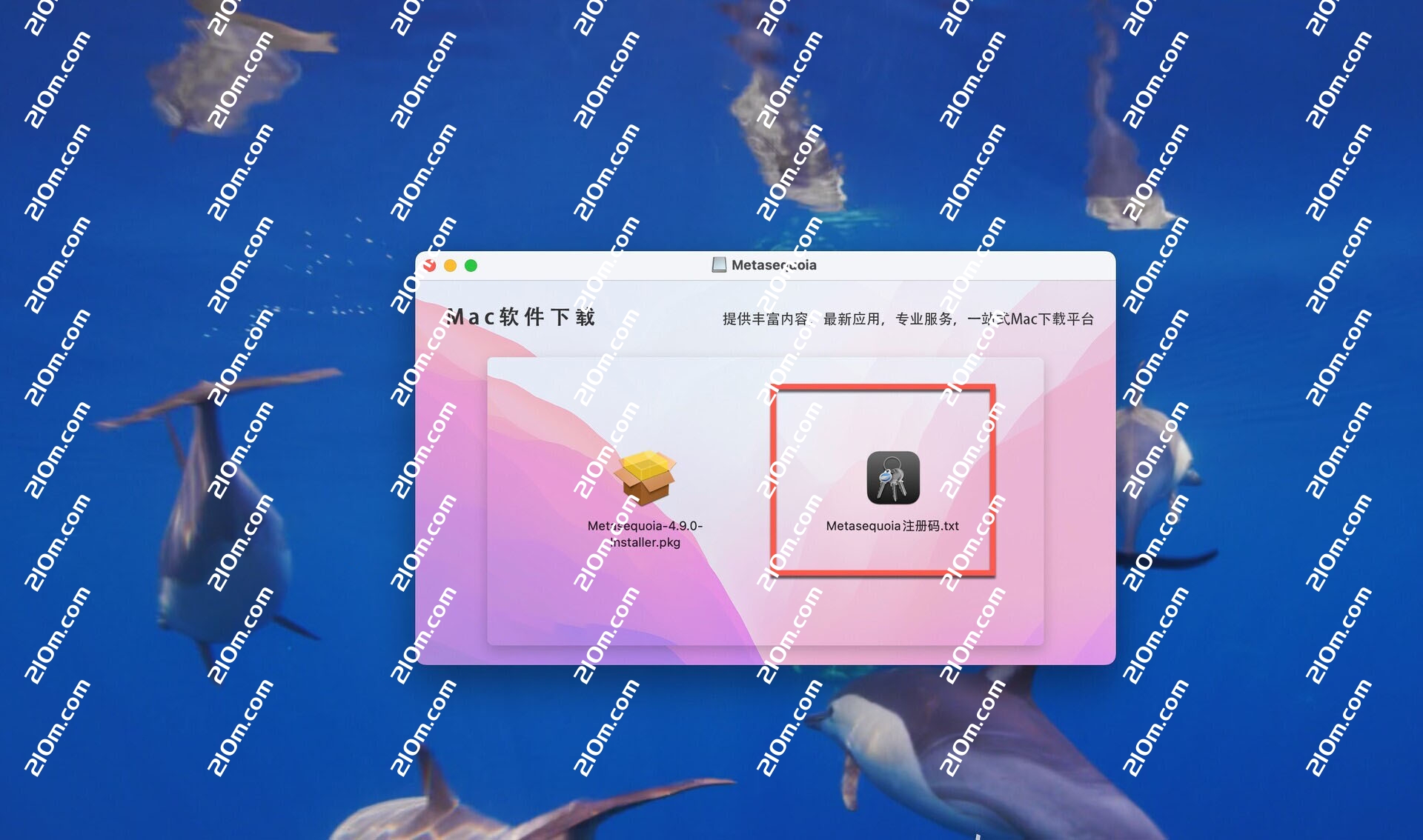 Metasequoia 4 for Mac(水杉3D建模器)