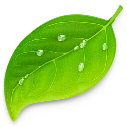 Coda 2 for Mac(网页编程软件)