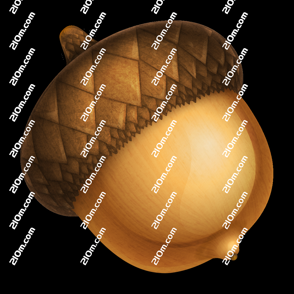 Acorn for Mac(mac图像处理软件)