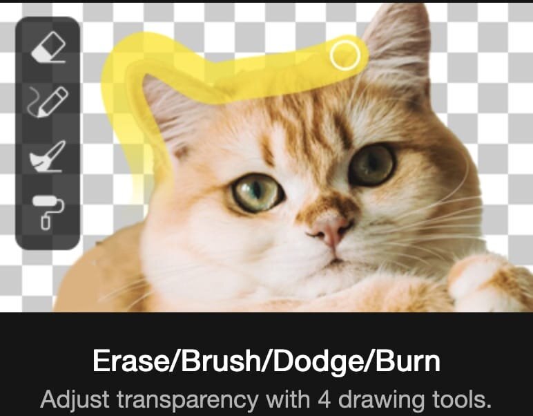 Aiarty Image Matting for Mac(AI图像抠图工具)的截图