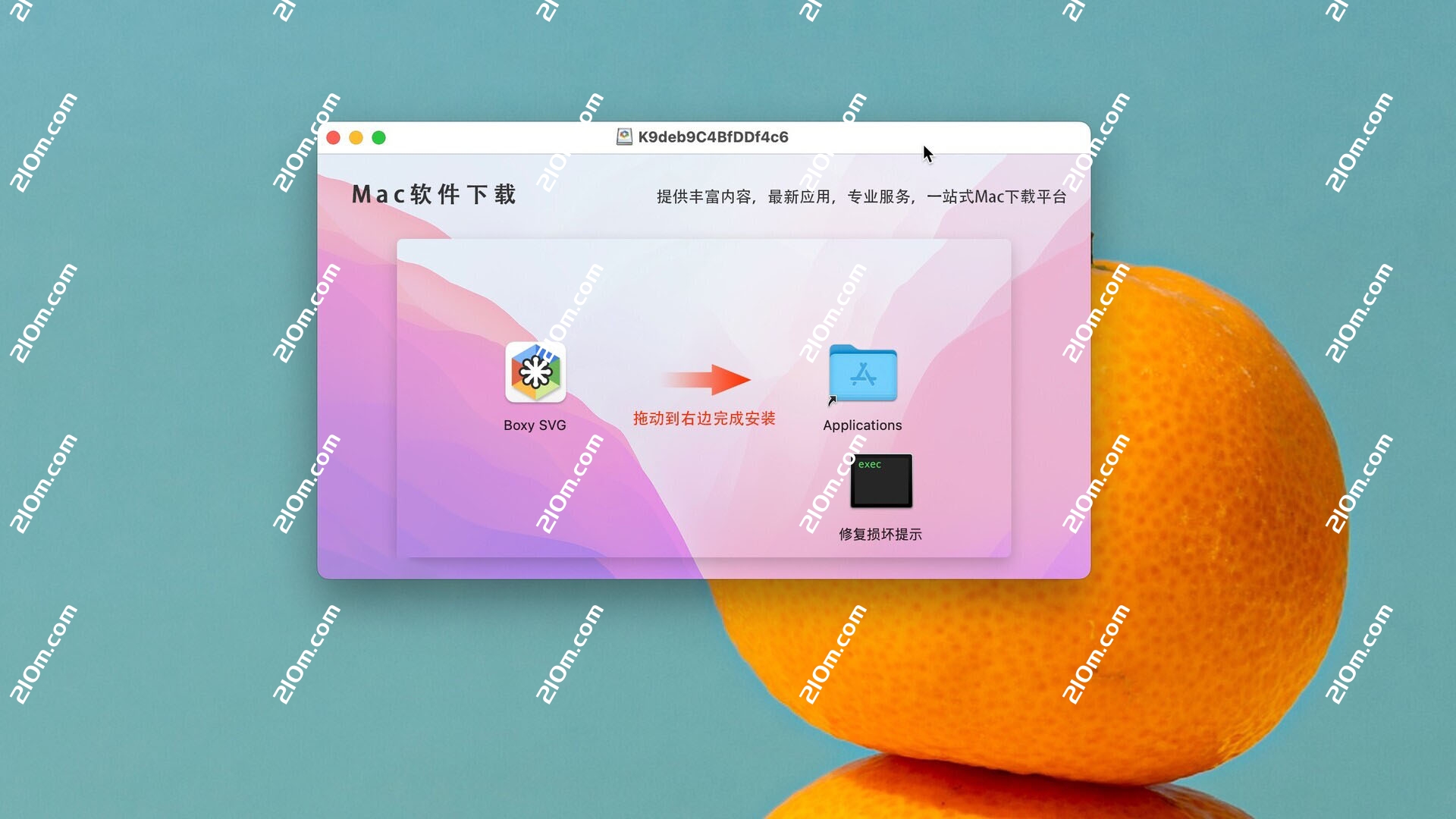 Boxy SVG for Mac(矢量图编辑器)