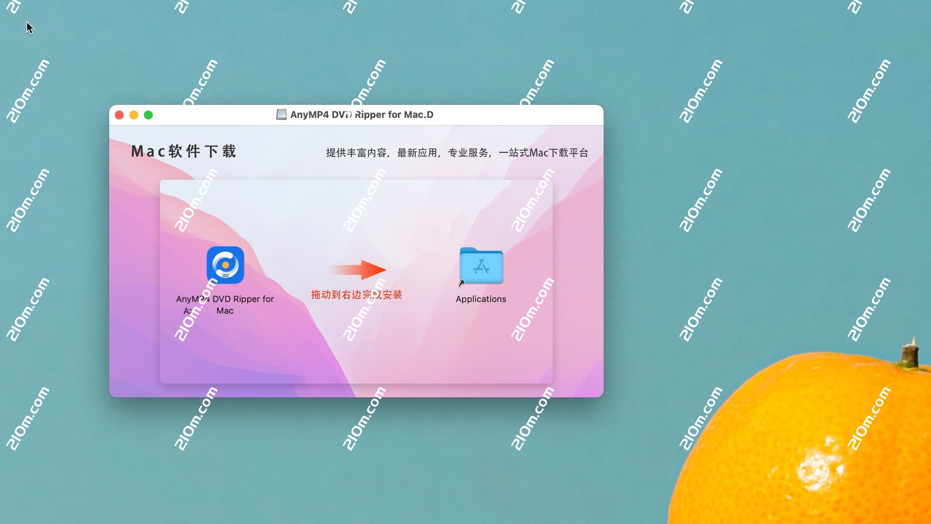 AnyMP4 DVD Ripper for Mac(DVD转换工具)