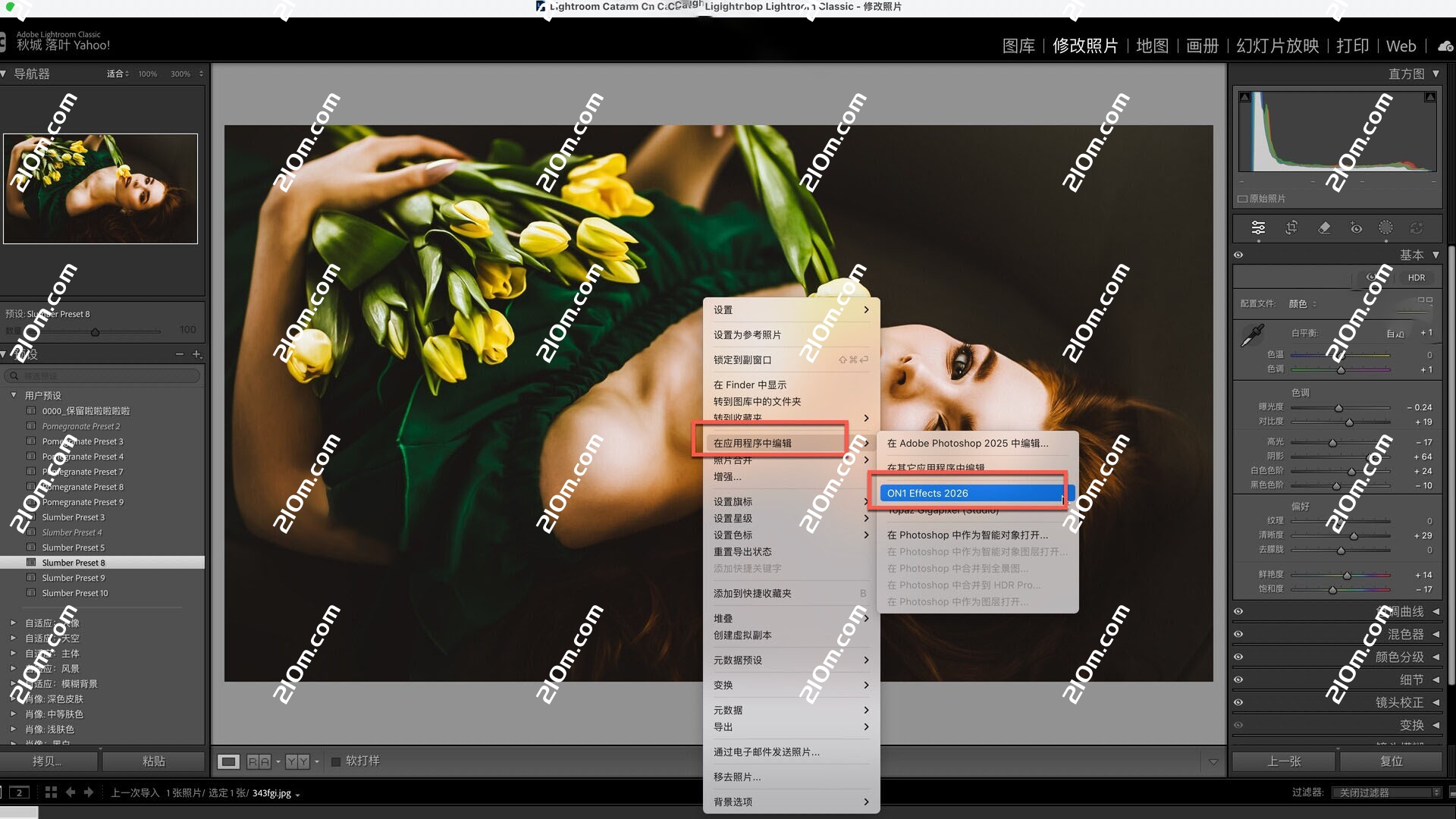 ON1 Effects 2026.3 for Mac(图像滤镜调色软件)