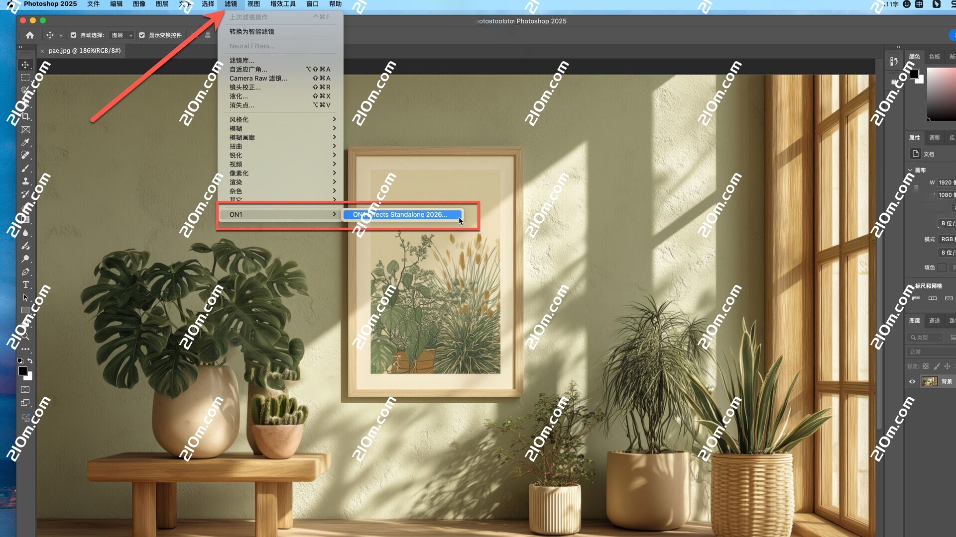 ON1 Effects 2026.3 for Mac(图像滤镜调色软件)