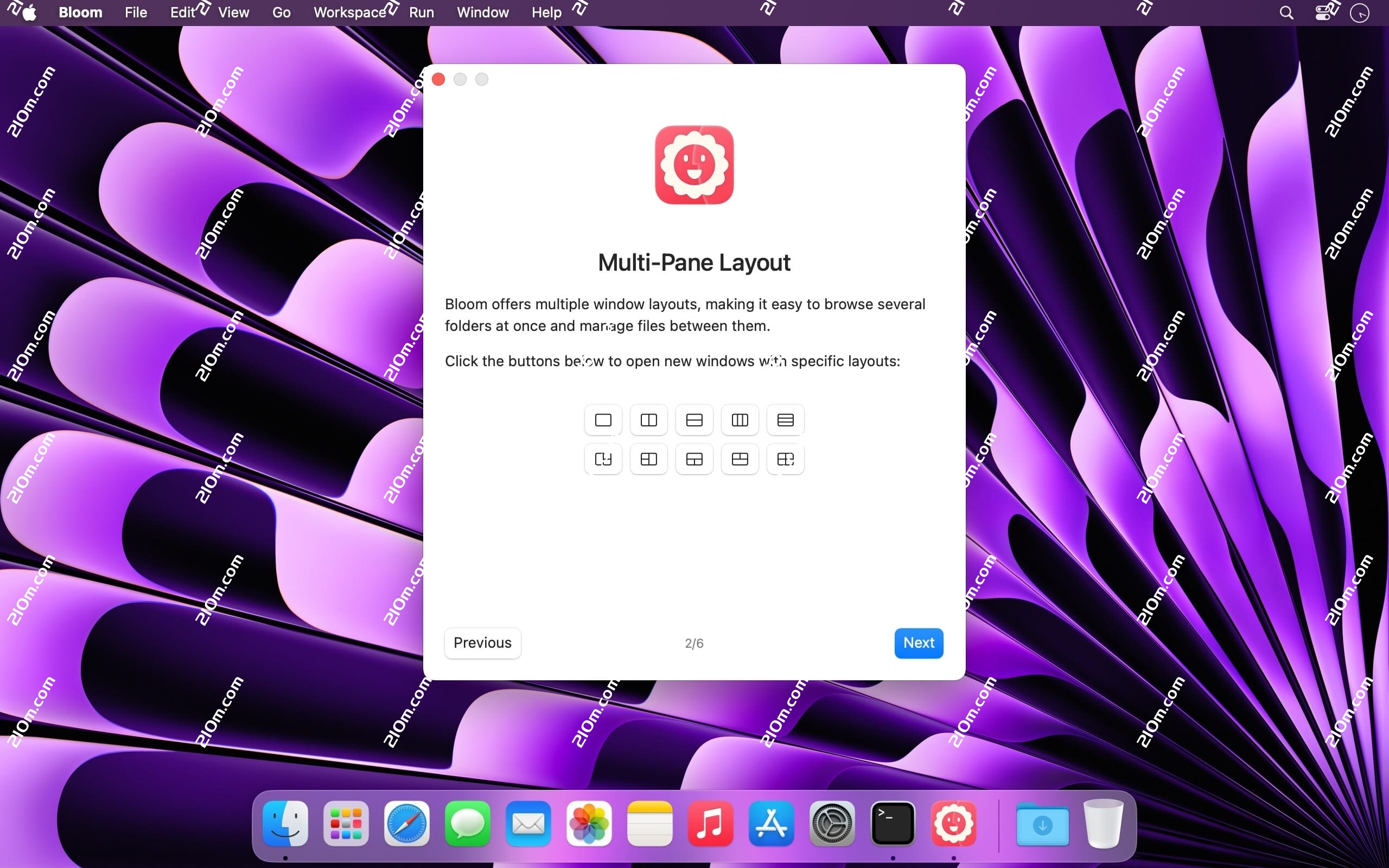 Bloom for Mac(多窗口文件管理工具)的截图