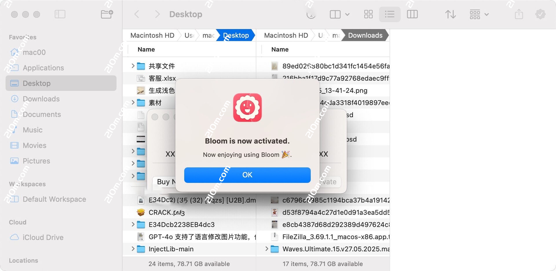 Bloom for Mac(多窗口文件管理工具)