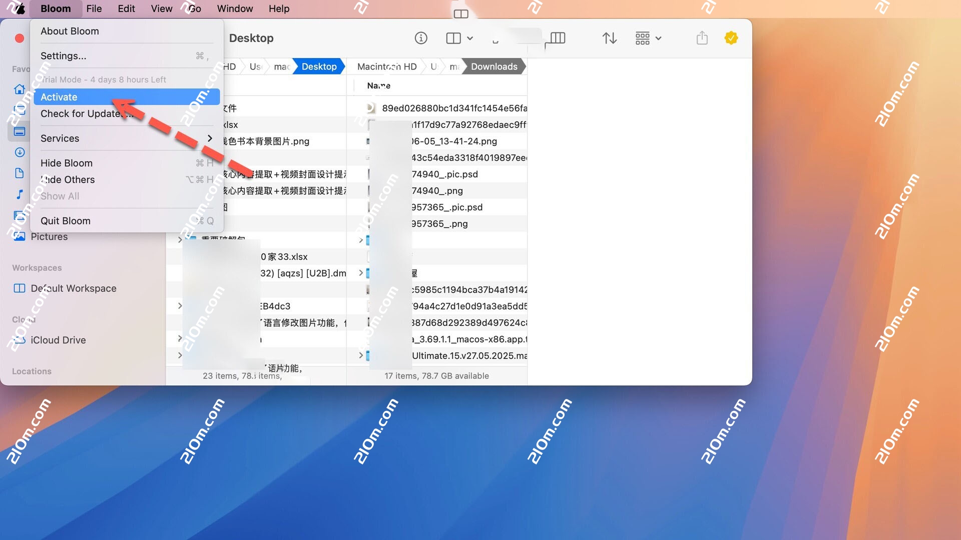 Bloom for Mac(多窗口文件管理工具)