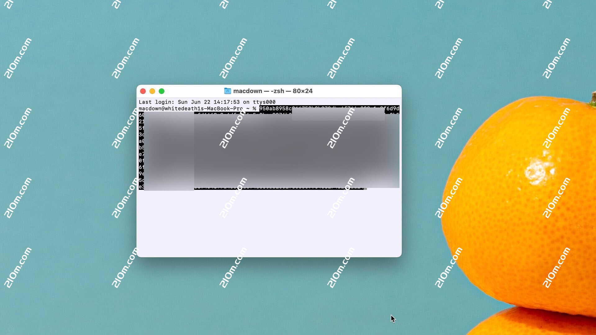 Prompt for mac(专业远程SSH服务器管理工具)