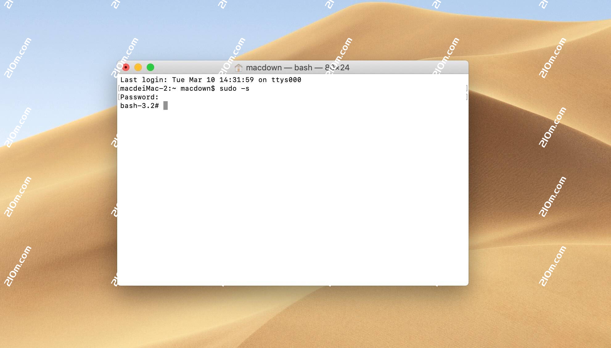 Animate CC 2019 for Mac(an cc 2019)