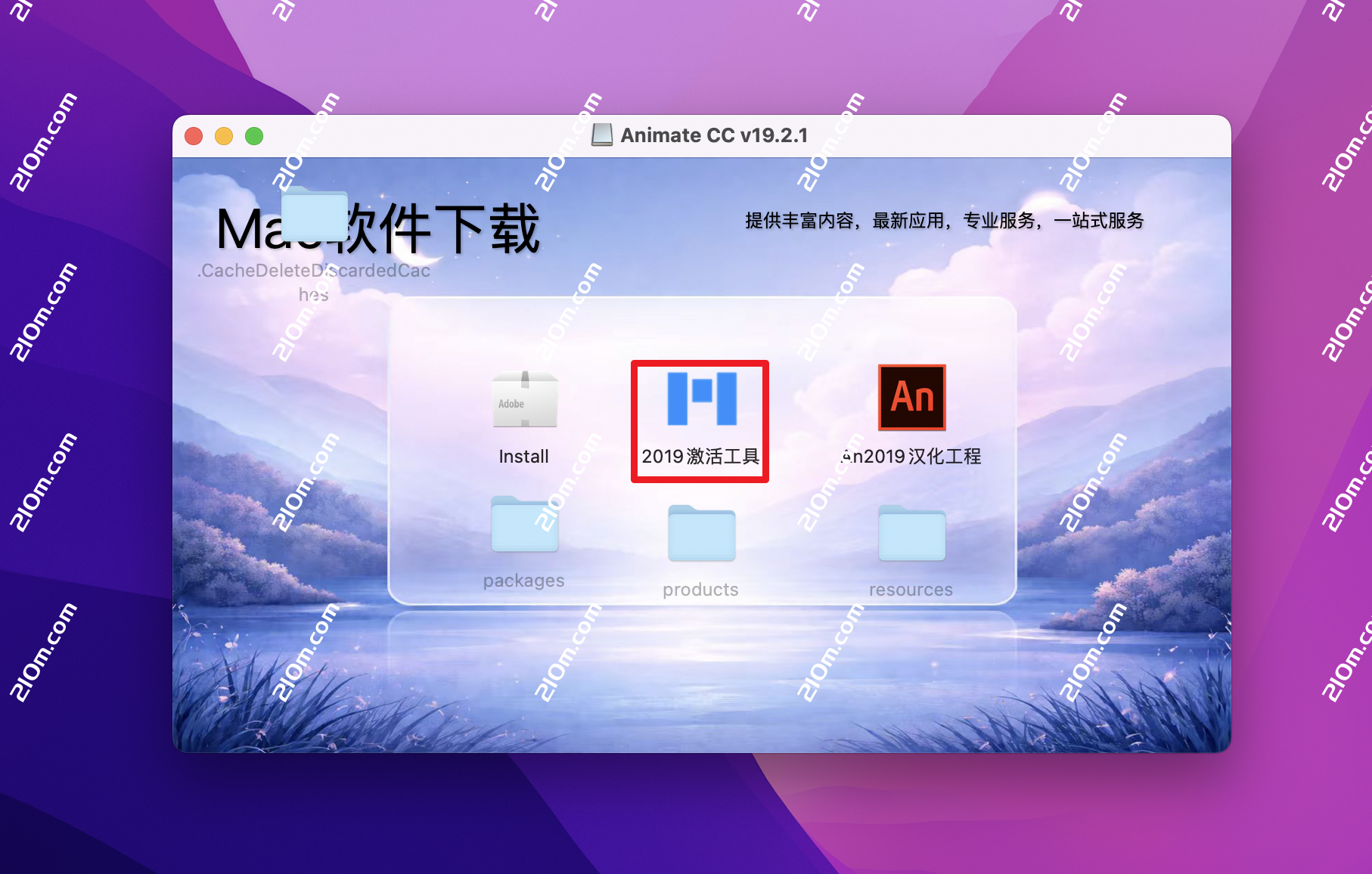 Animate CC 2019 for Mac(an cc 2019)