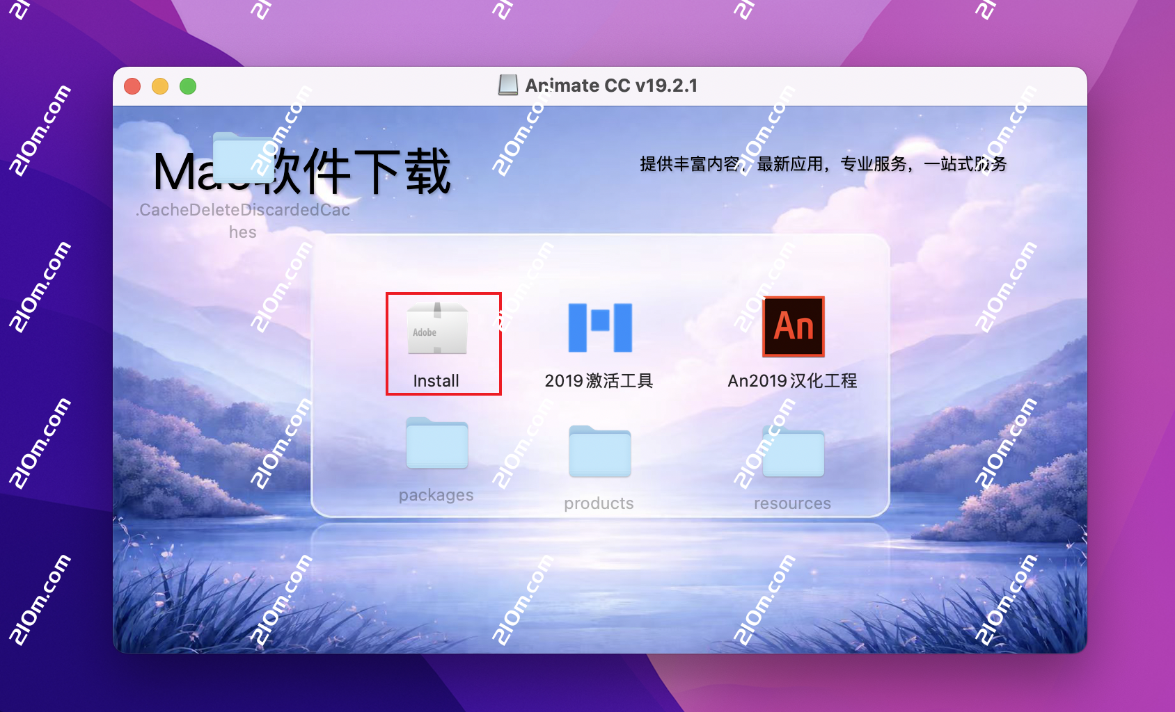Animate CC 2019 for Mac(an cc 2019)