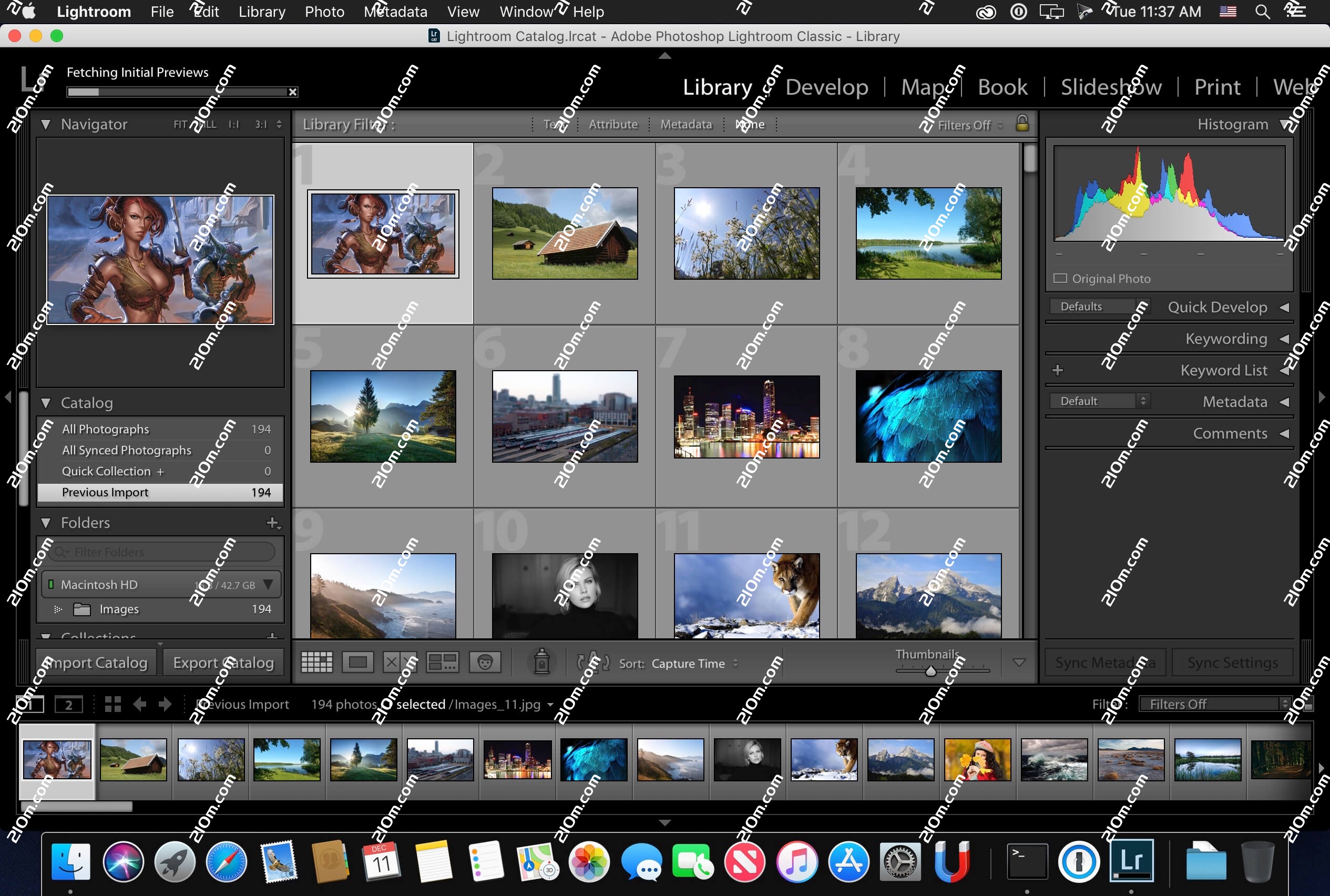 Lightroom Classic CC 2019 for Mac(lr cc 2019 mac)的截图