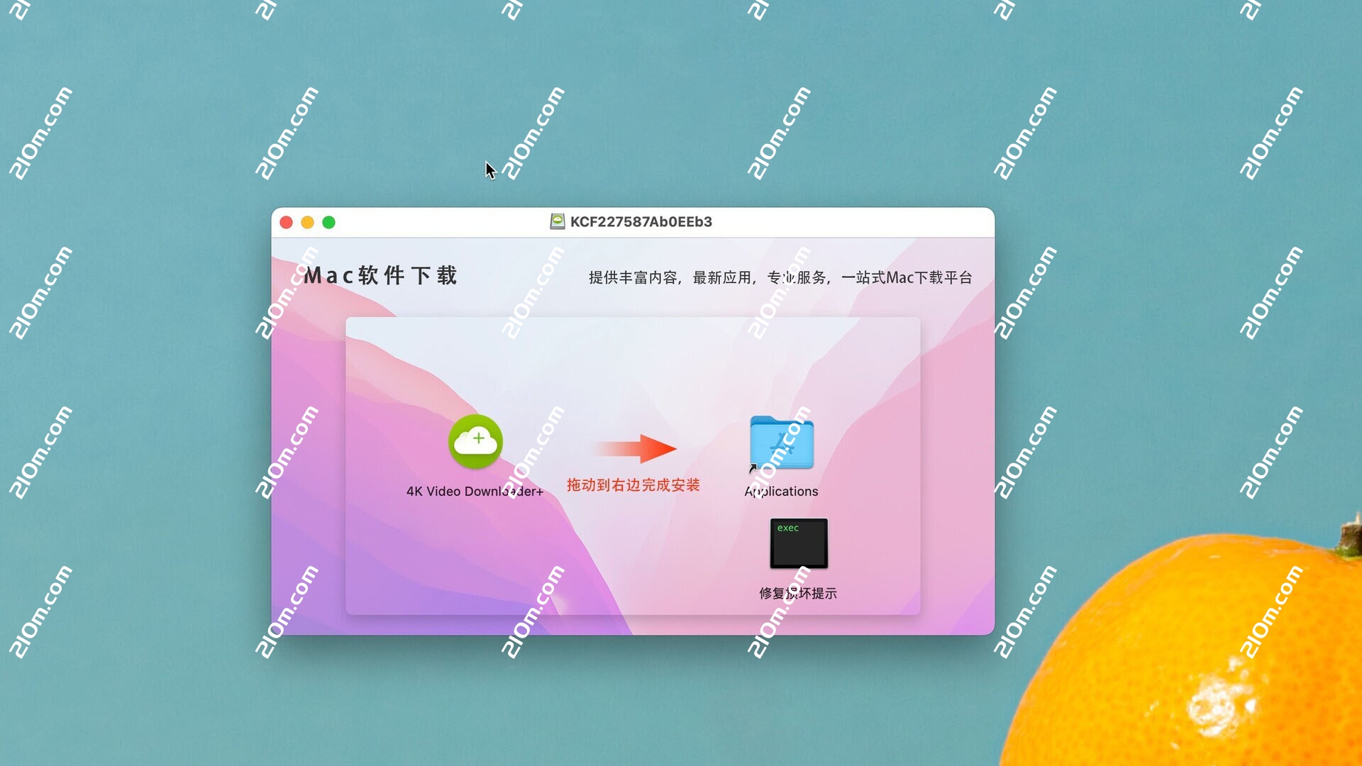 4K Video Downloader Plus Pro for Mac(4K视频下载器)