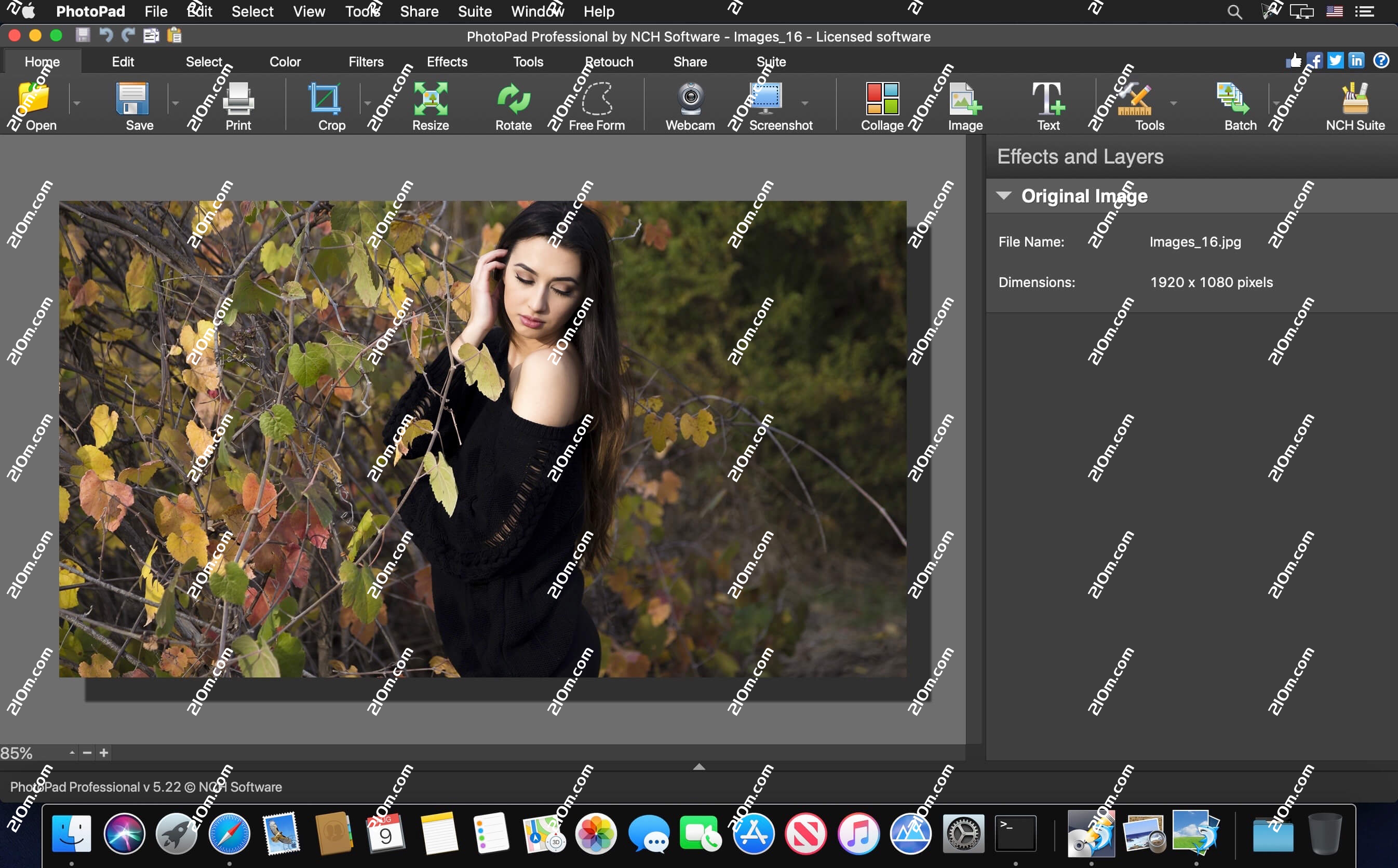 NCH PhotoPad for Mac(图像照片编辑软件)的截图