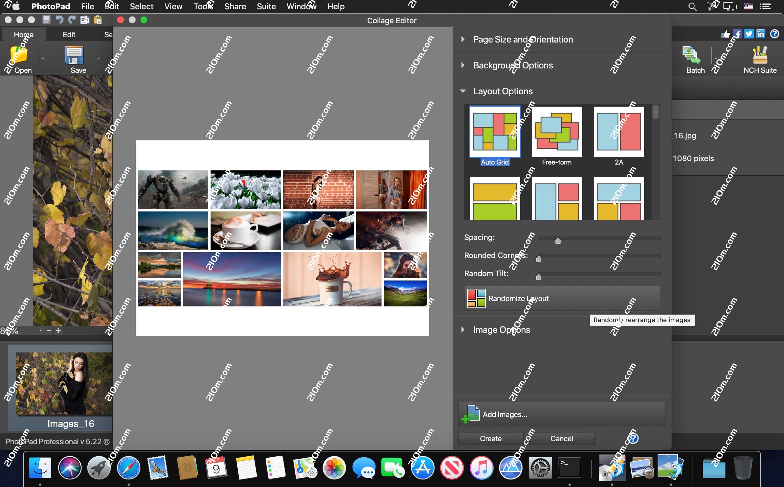 NCH PhotoPad for Mac(图像照片编辑软件)的截图