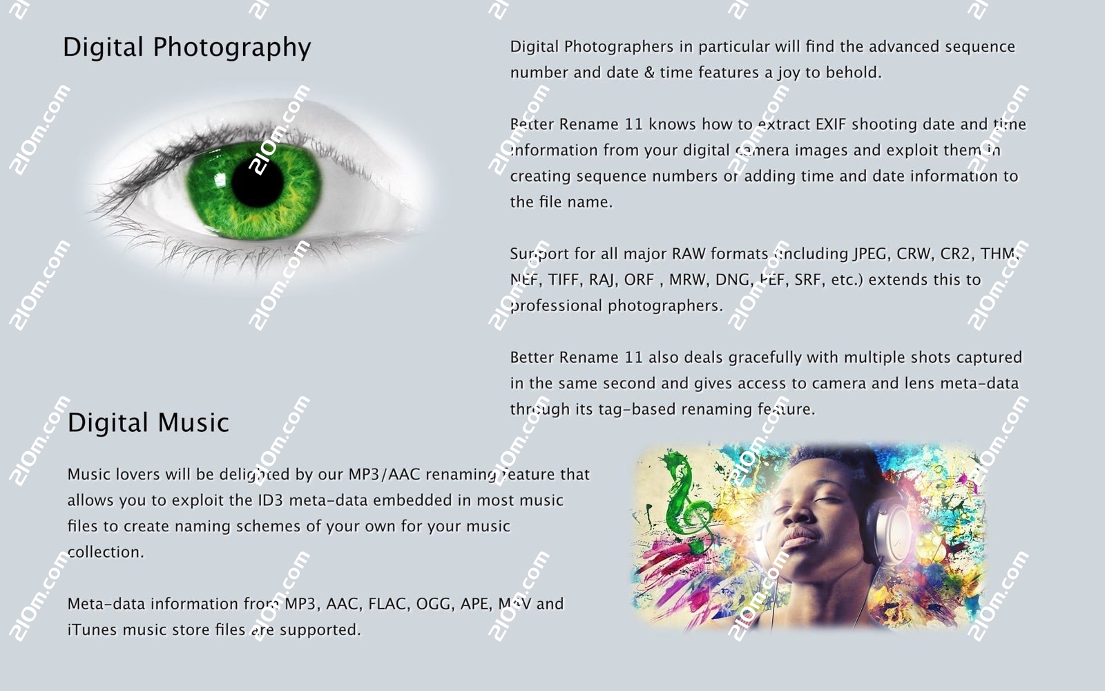 A Better Finder Rename 12 for Mac(苹果电脑批量重命名工具)的截图