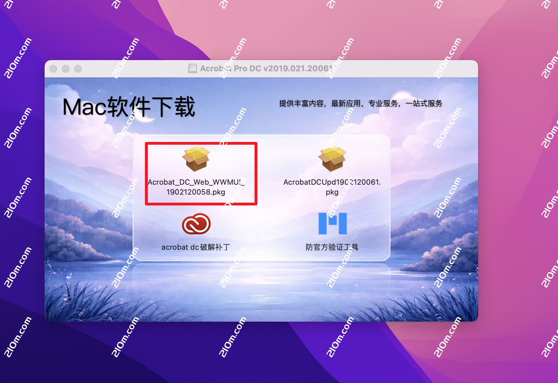 Acrobat Pro DC 2019 for Mac(PDF编辑软件)