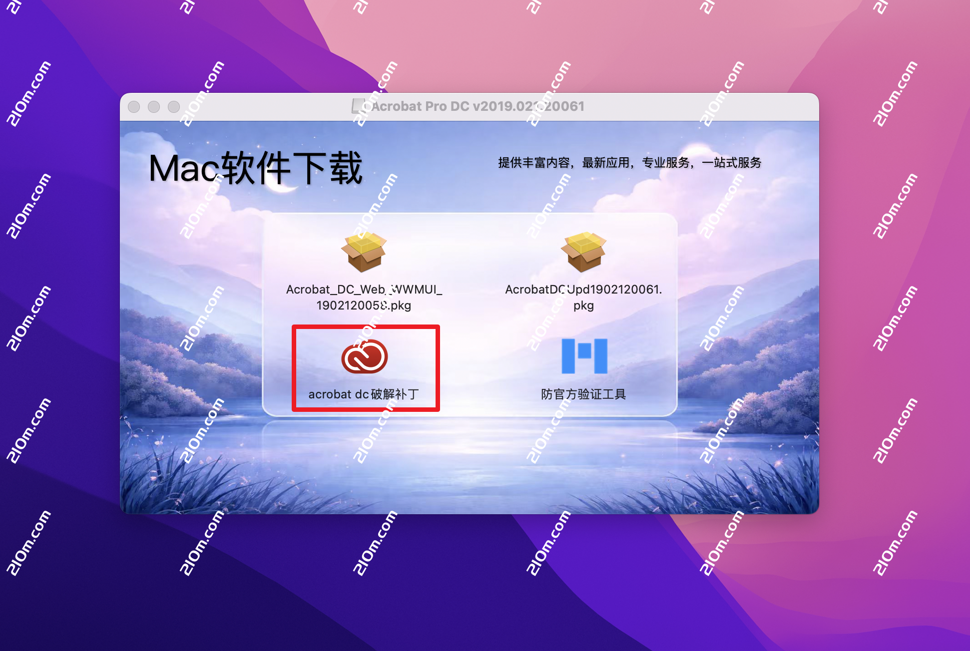 Acrobat Pro DC 2019 for Mac(PDF编辑软件)