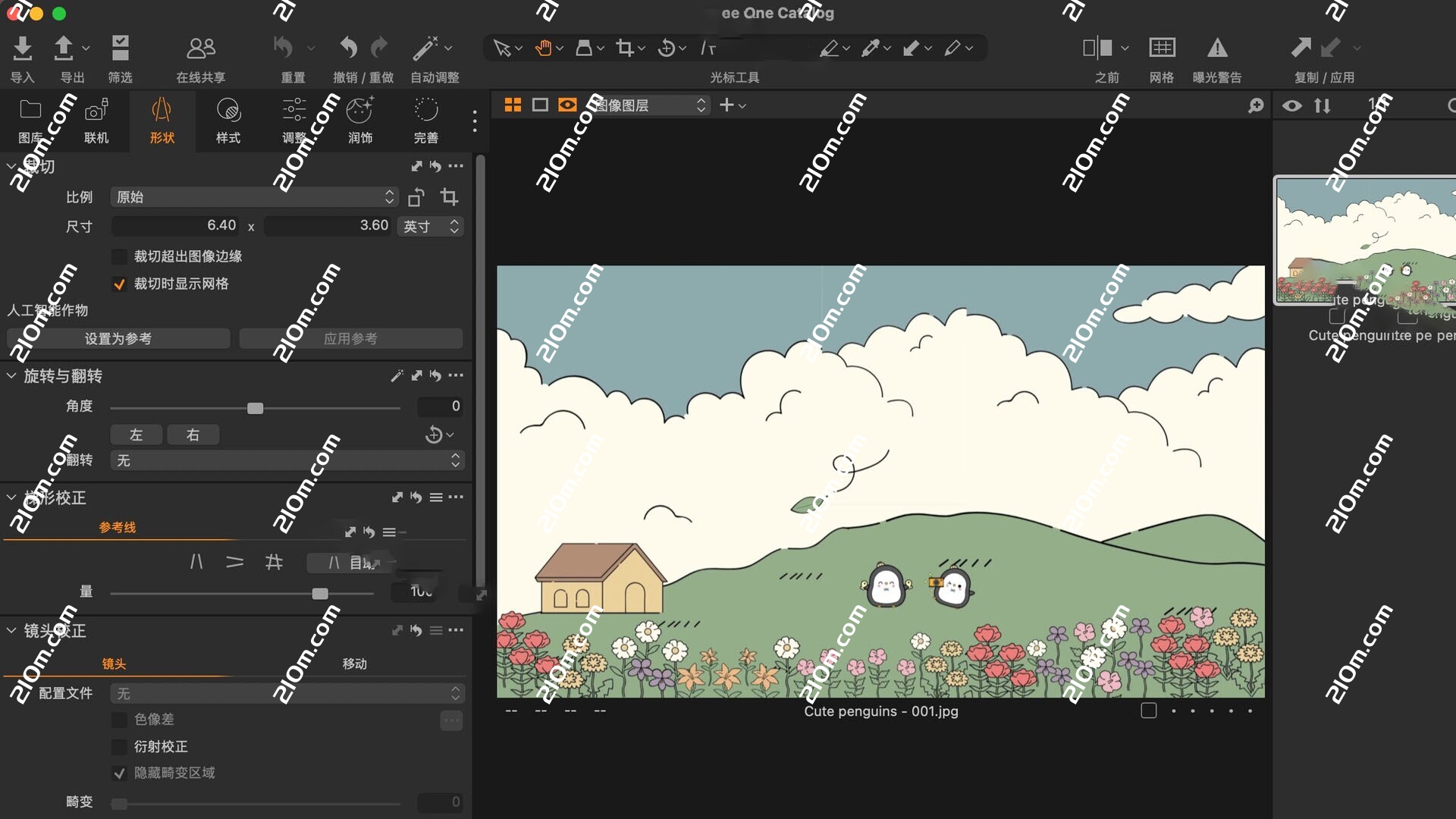 Capture One Enterprise for Mac(图片编辑工具)企业版的截图