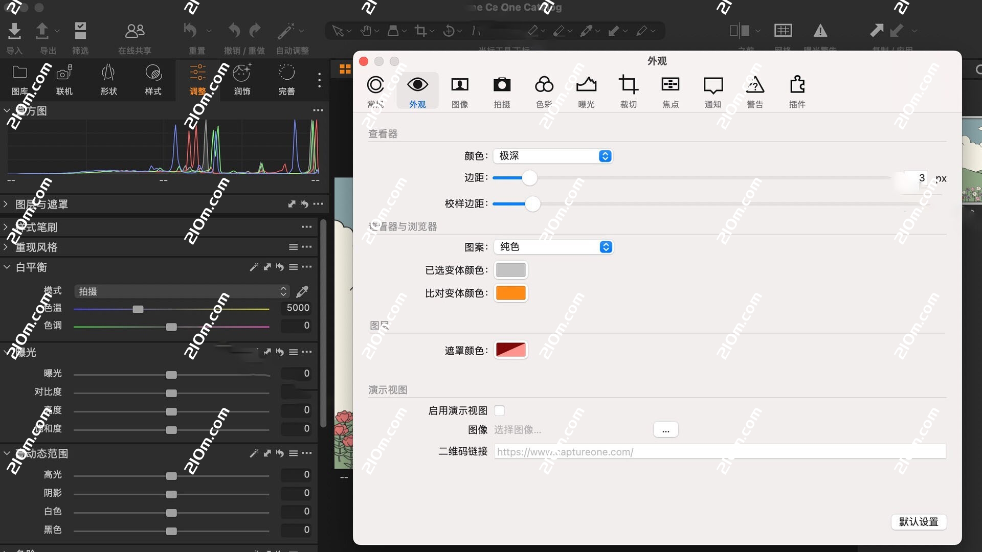 Capture One Enterprise for Mac(图片编辑工具)企业版的截图