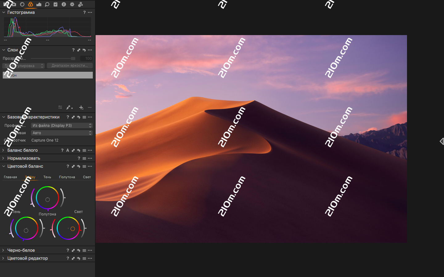 Capture One Pro for mac(RAW转换和图像编辑工具)的截图