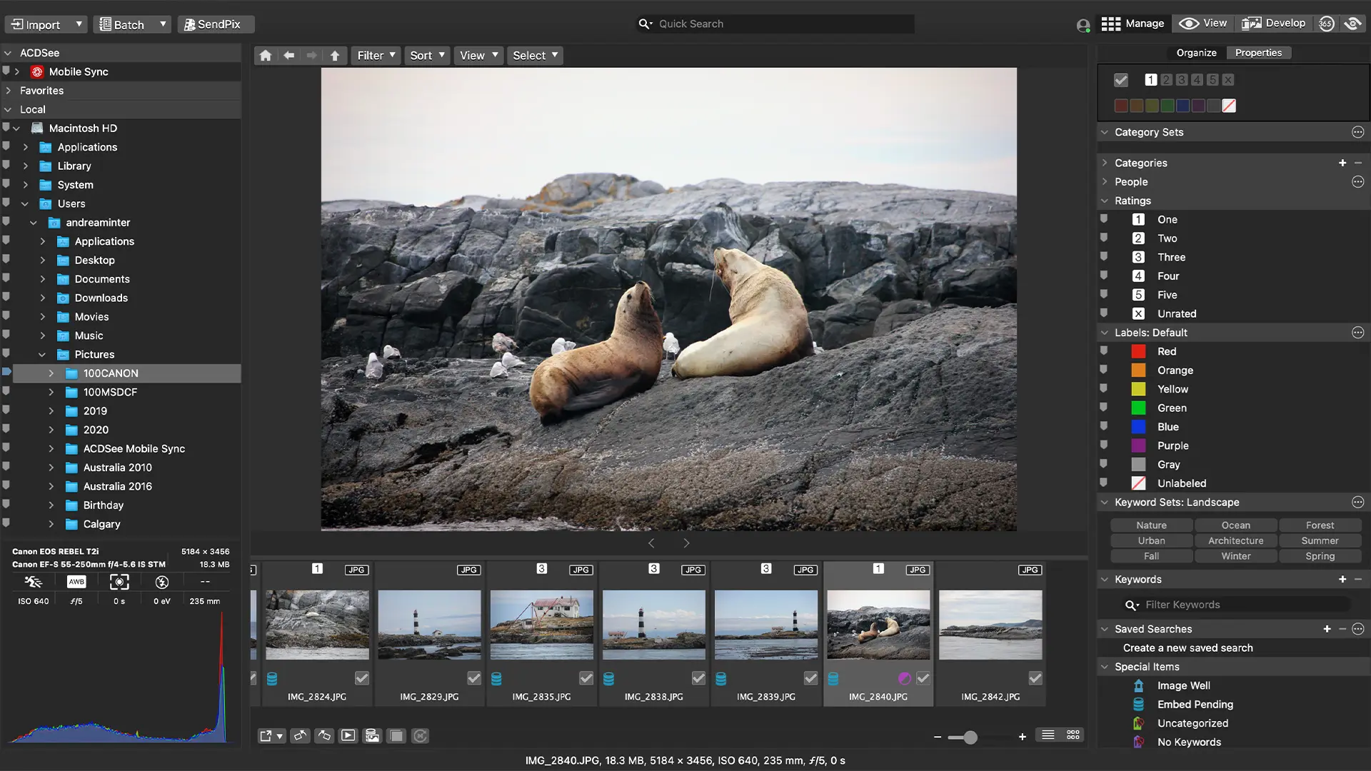 ACDSee Photo Studio 26 for Mac(数字图象处理软件)的截图