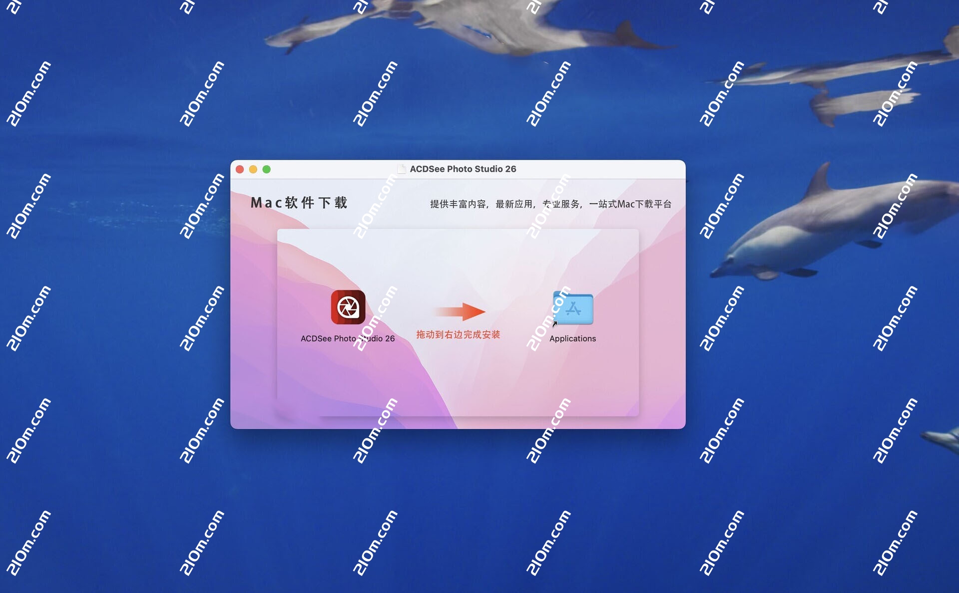 ACDSee Photo Studio 26 for Mac(数字图象处理软件)