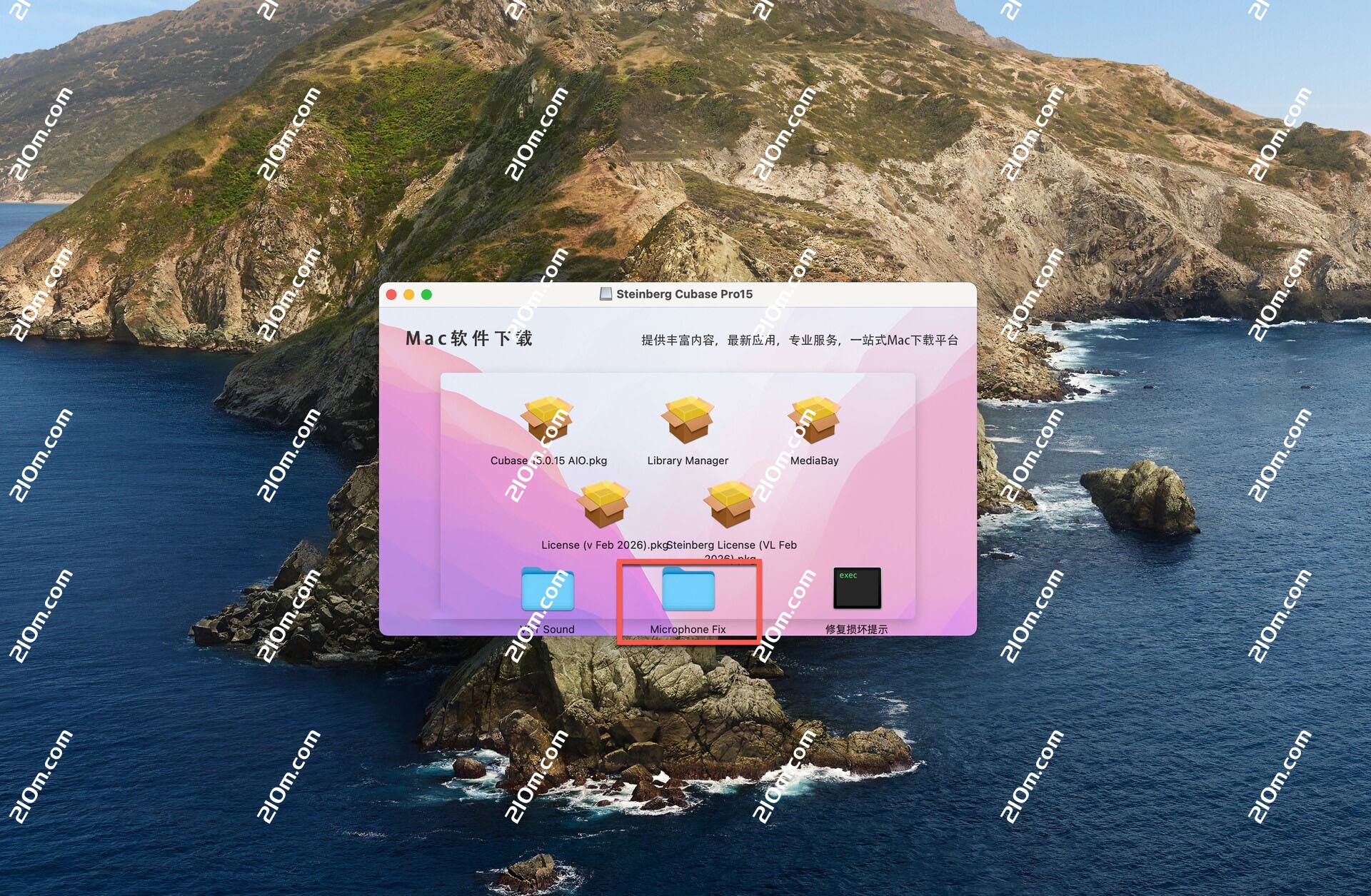 Steinberg Cubase Pro 15 for Mac(多功能音乐制作)