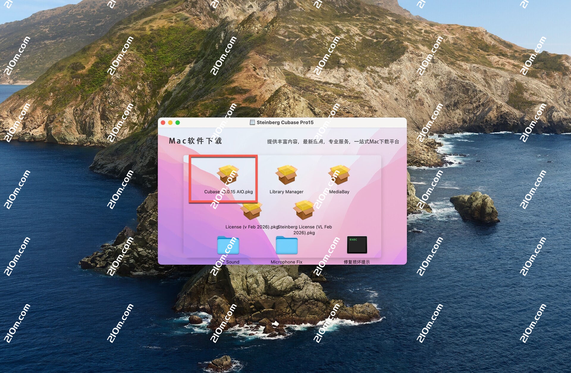 Steinberg Cubase Pro 15 for Mac(多功能音乐制作)