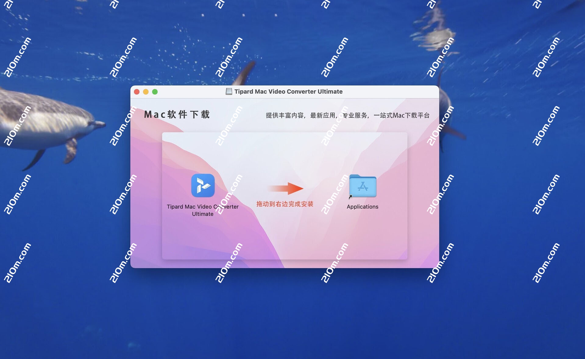 Tipard Video Converter Ultimate for Mac(视频格式转换工具)