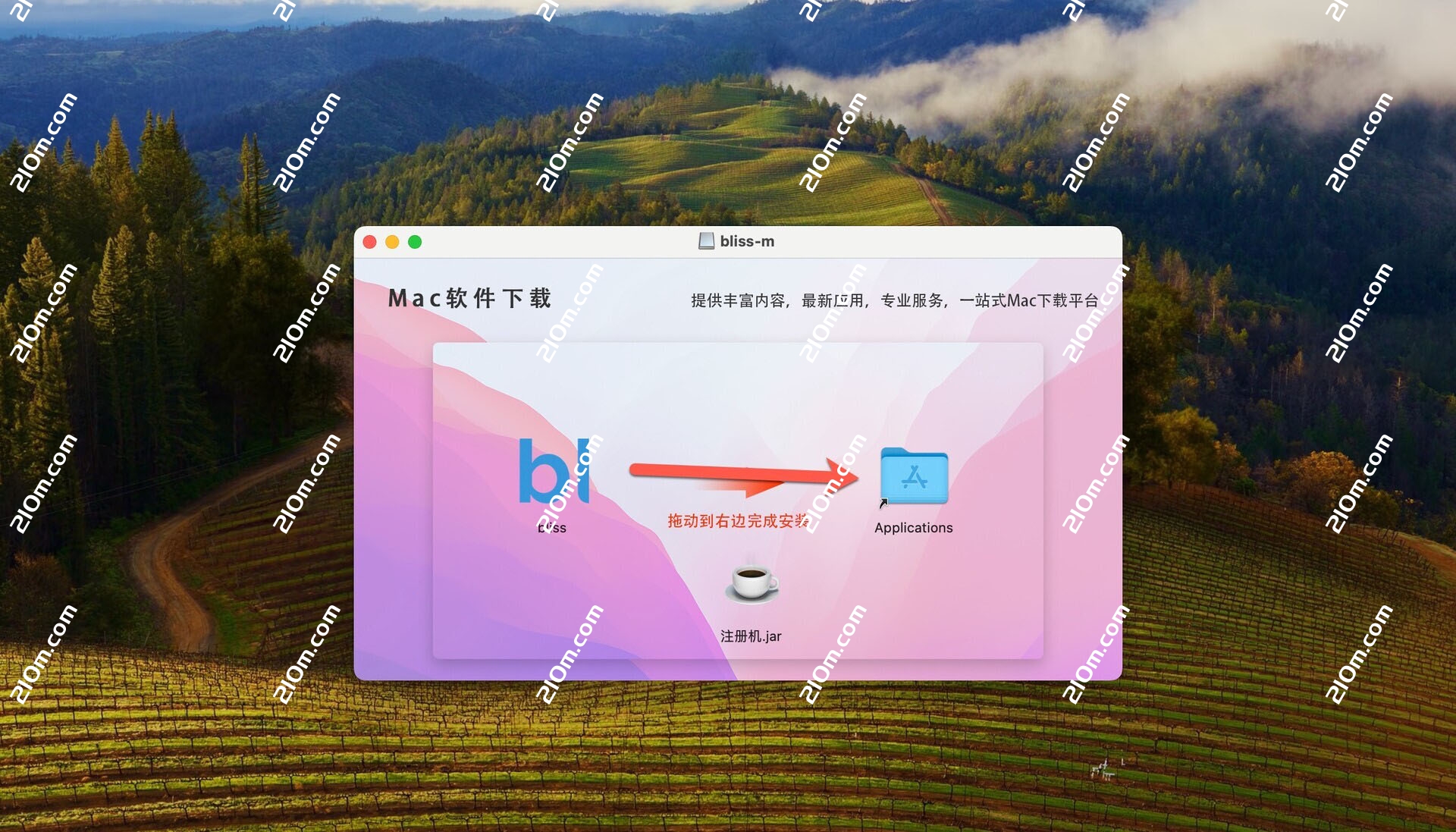 Elsten Software Bliss for Mac(音乐库音乐整理分类软件)