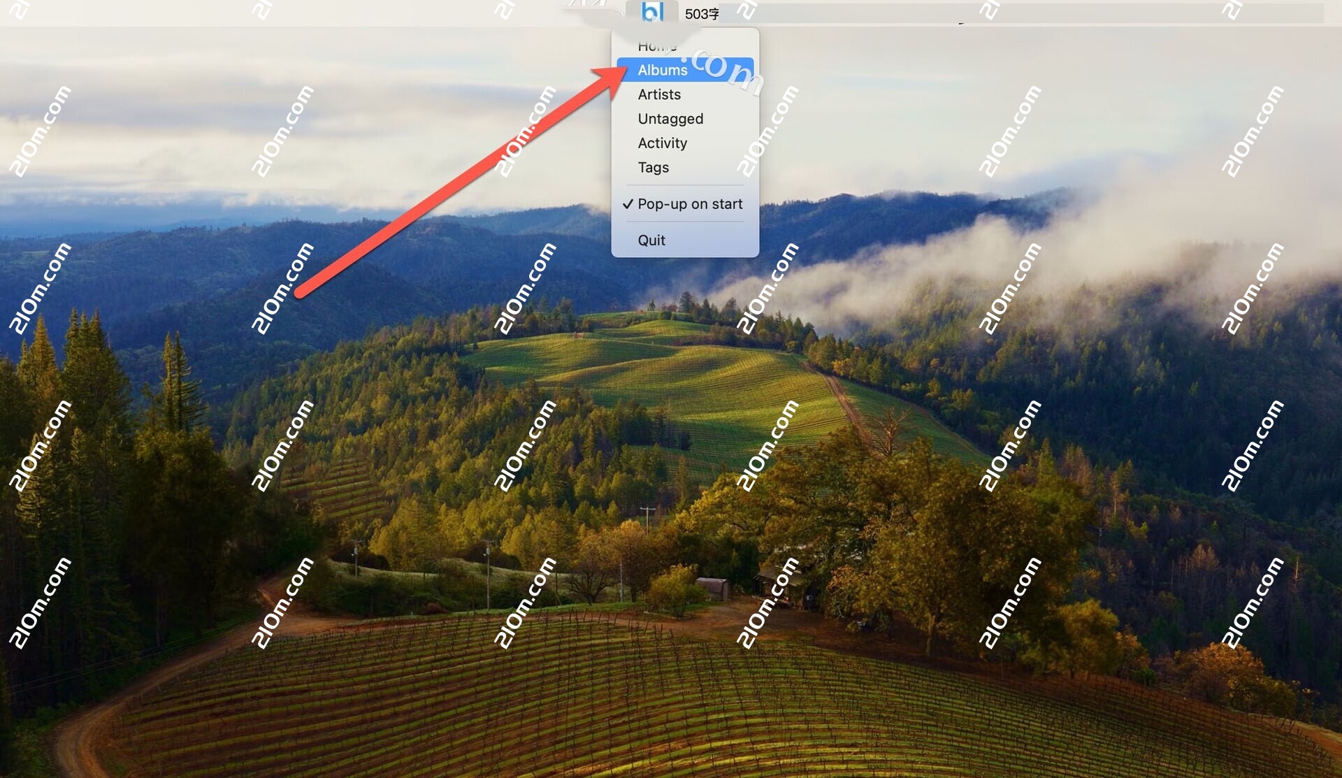 Elsten Software Bliss for Mac(音乐库音乐整理分类软件)