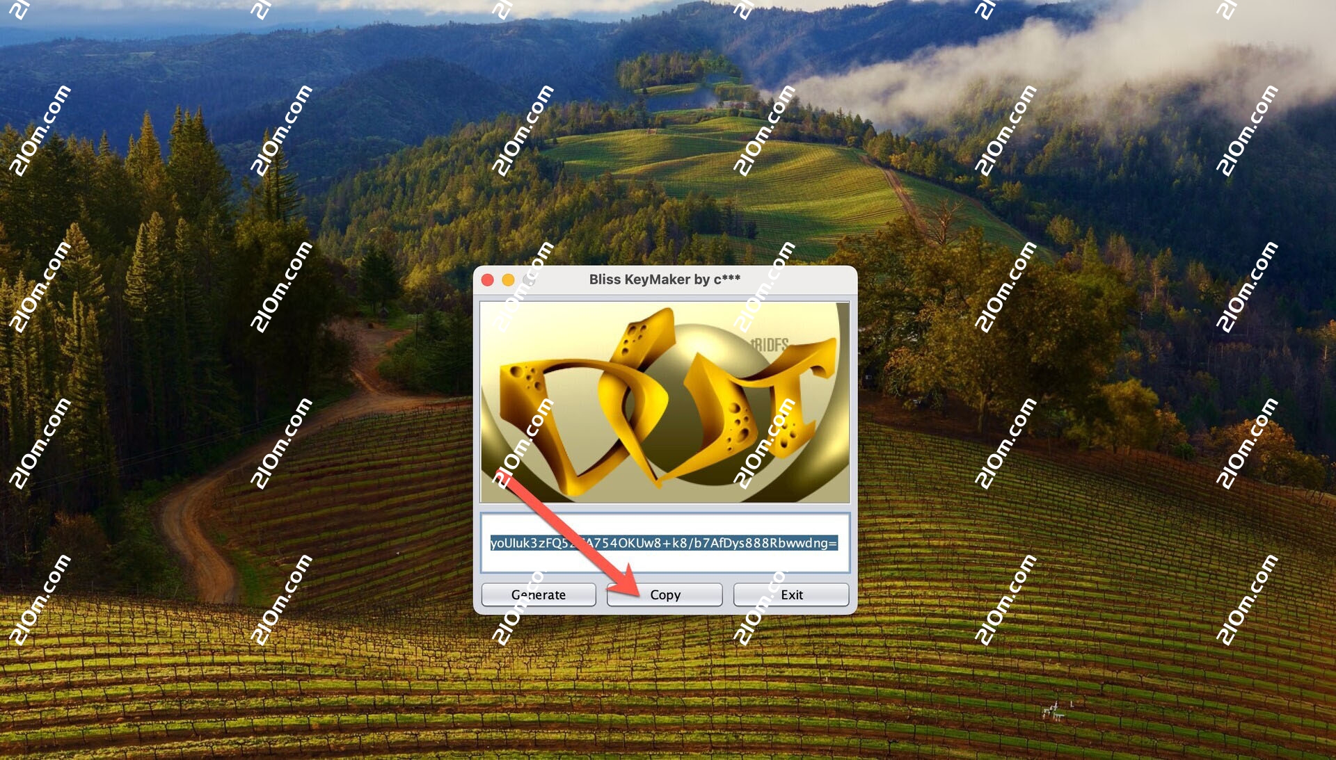 Elsten Software Bliss for Mac(音乐库音乐整理分类软件)