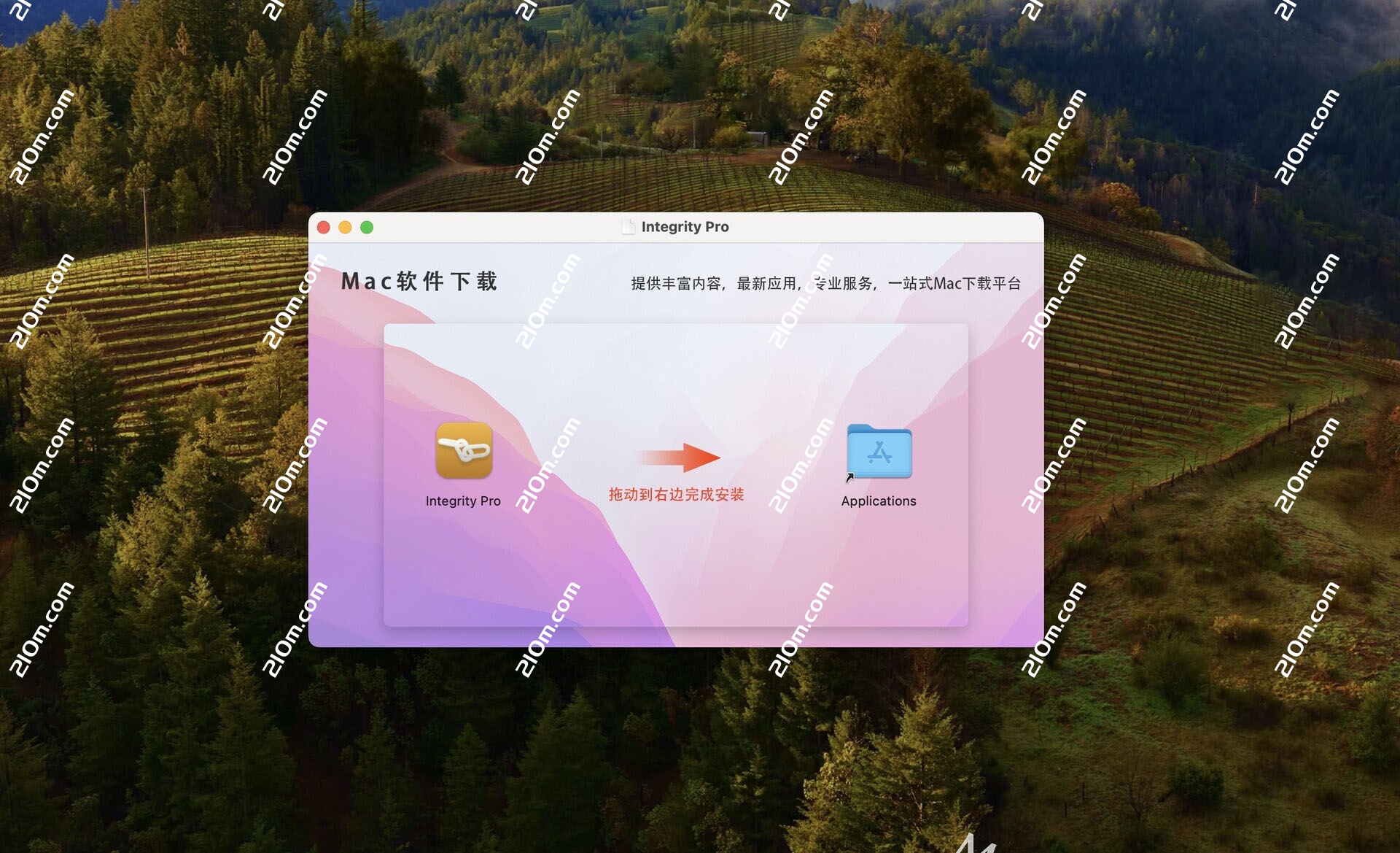 Integrity Pro for mac(网站死链接清理工具)