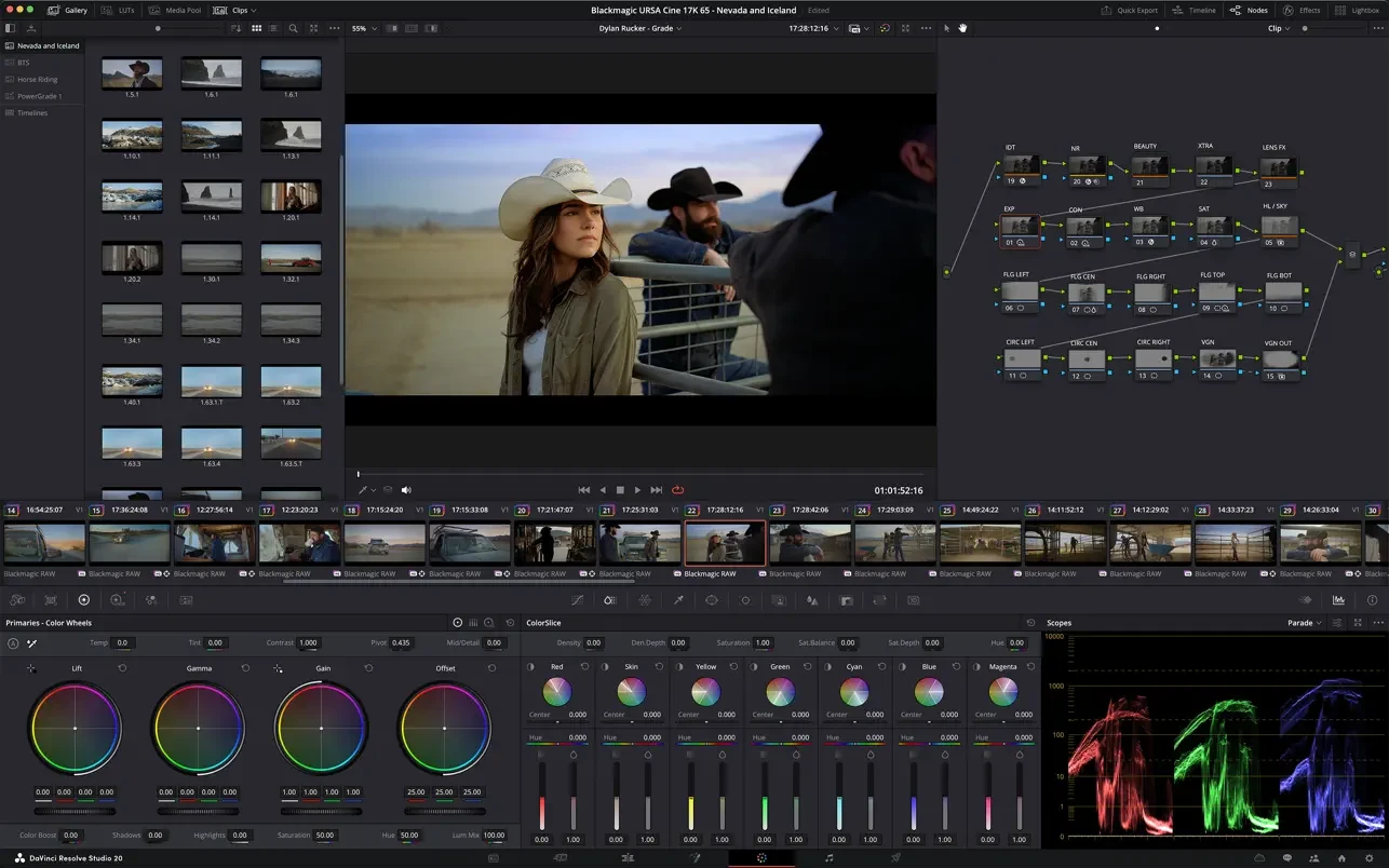 DaVinci Resolve Studio for mac( 达芬奇影视后期调色剪辑)的截图