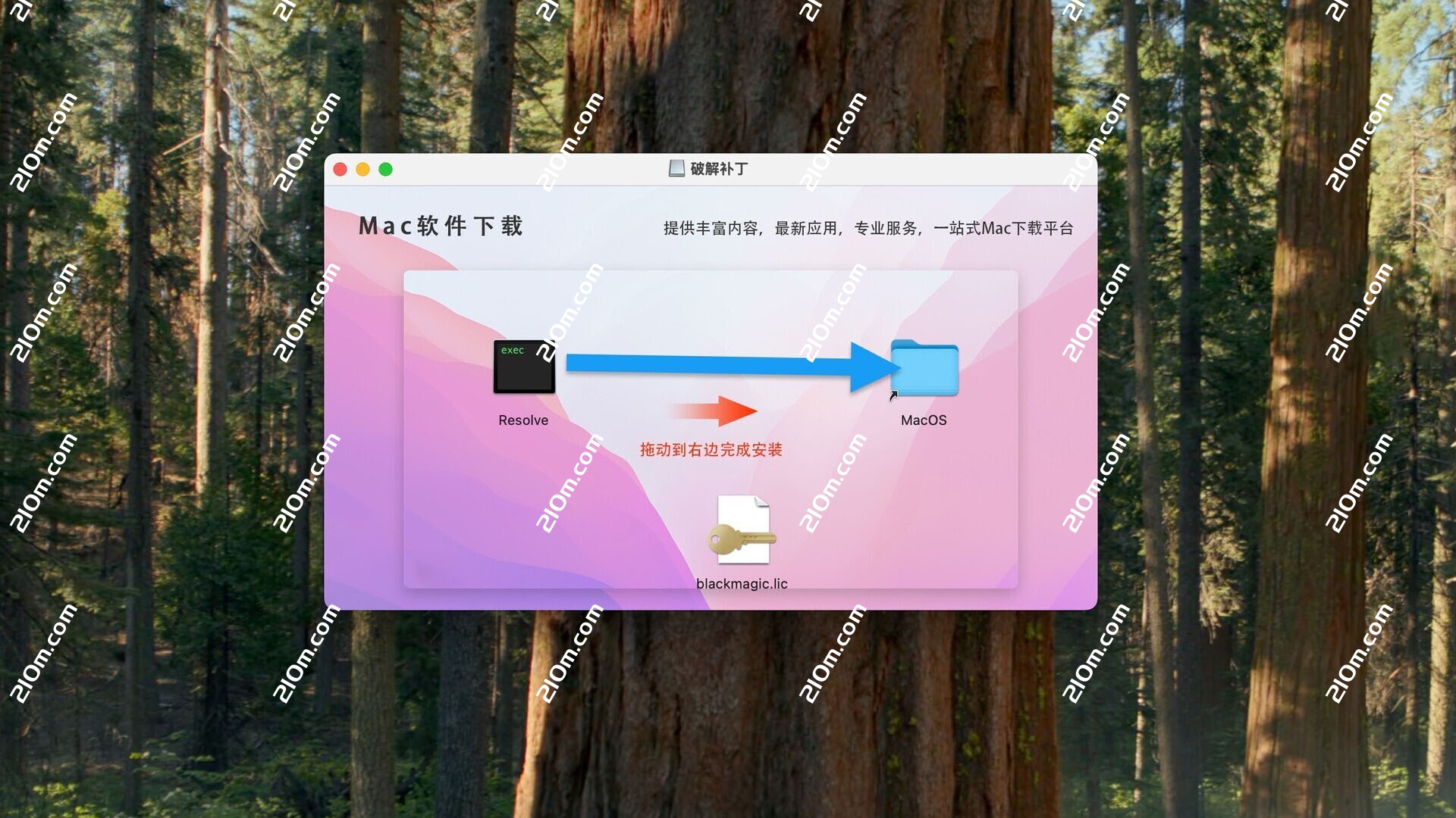 DaVinci Resolve Studio for mac( 达芬奇影视后期调色剪辑)