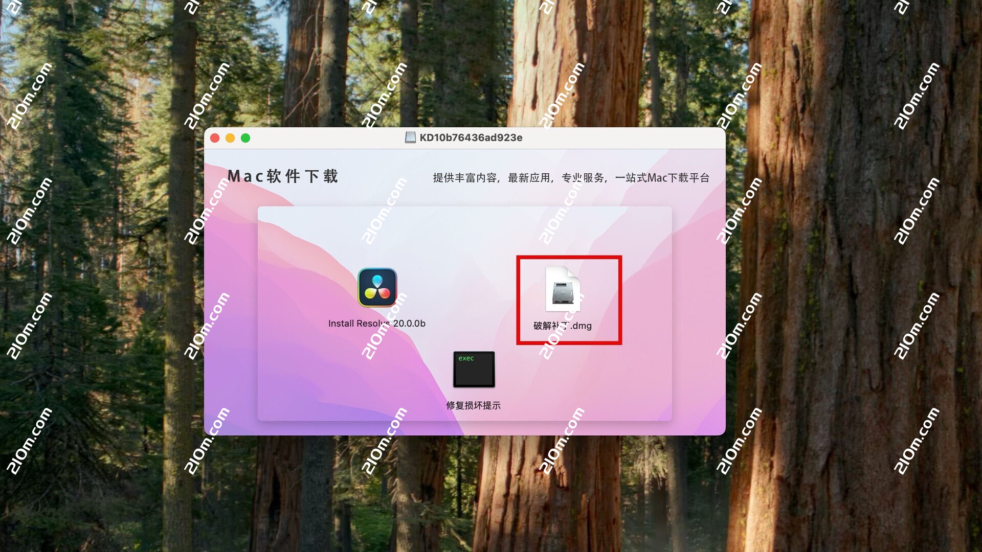 DaVinci Resolve Studio for mac( 达芬奇影视后期调色剪辑)