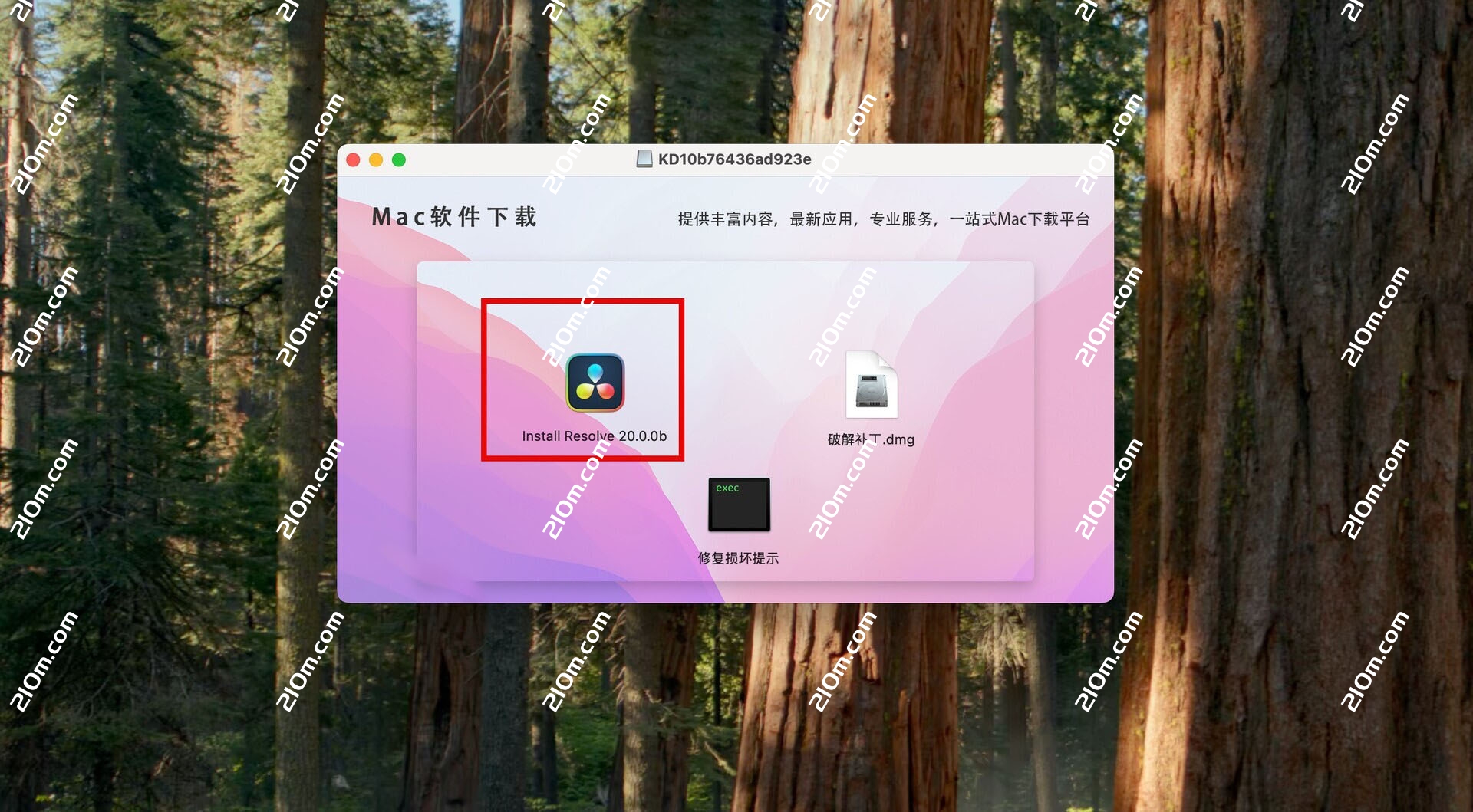 DaVinci Resolve Studio for mac( 达芬奇影视后期调色剪辑)