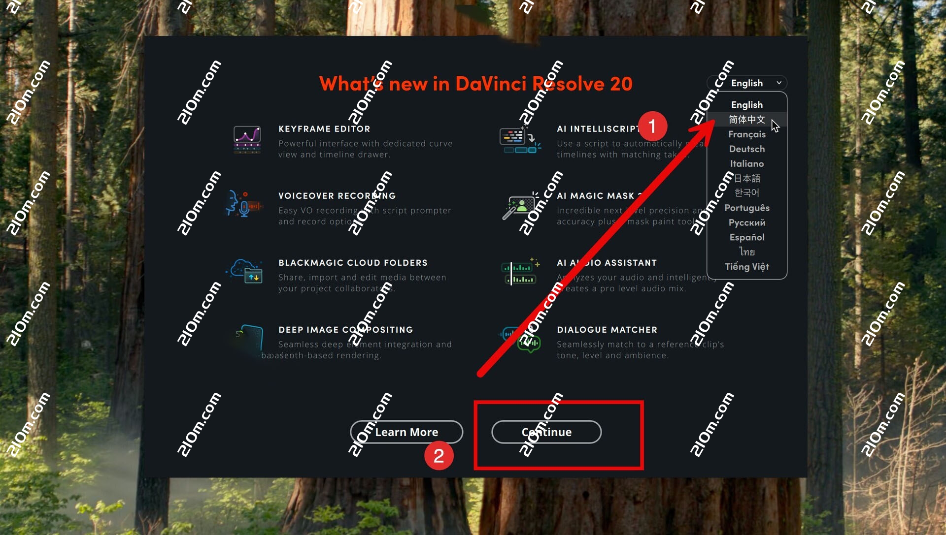 DaVinci Resolve Studio for mac( 达芬奇影视后期调色剪辑)