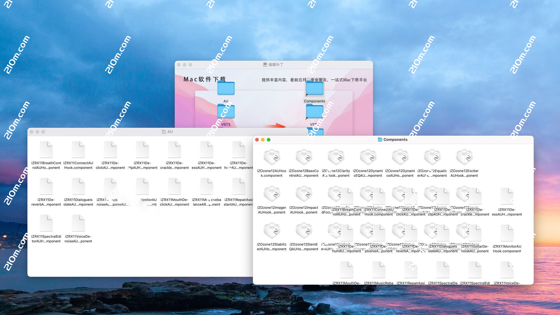 iZotope RX 12 for Mac(专业音频修复软件)