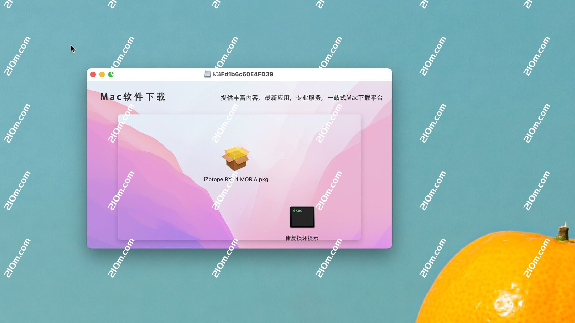 iZotope RX 12 for Mac(专业音频修复软件)