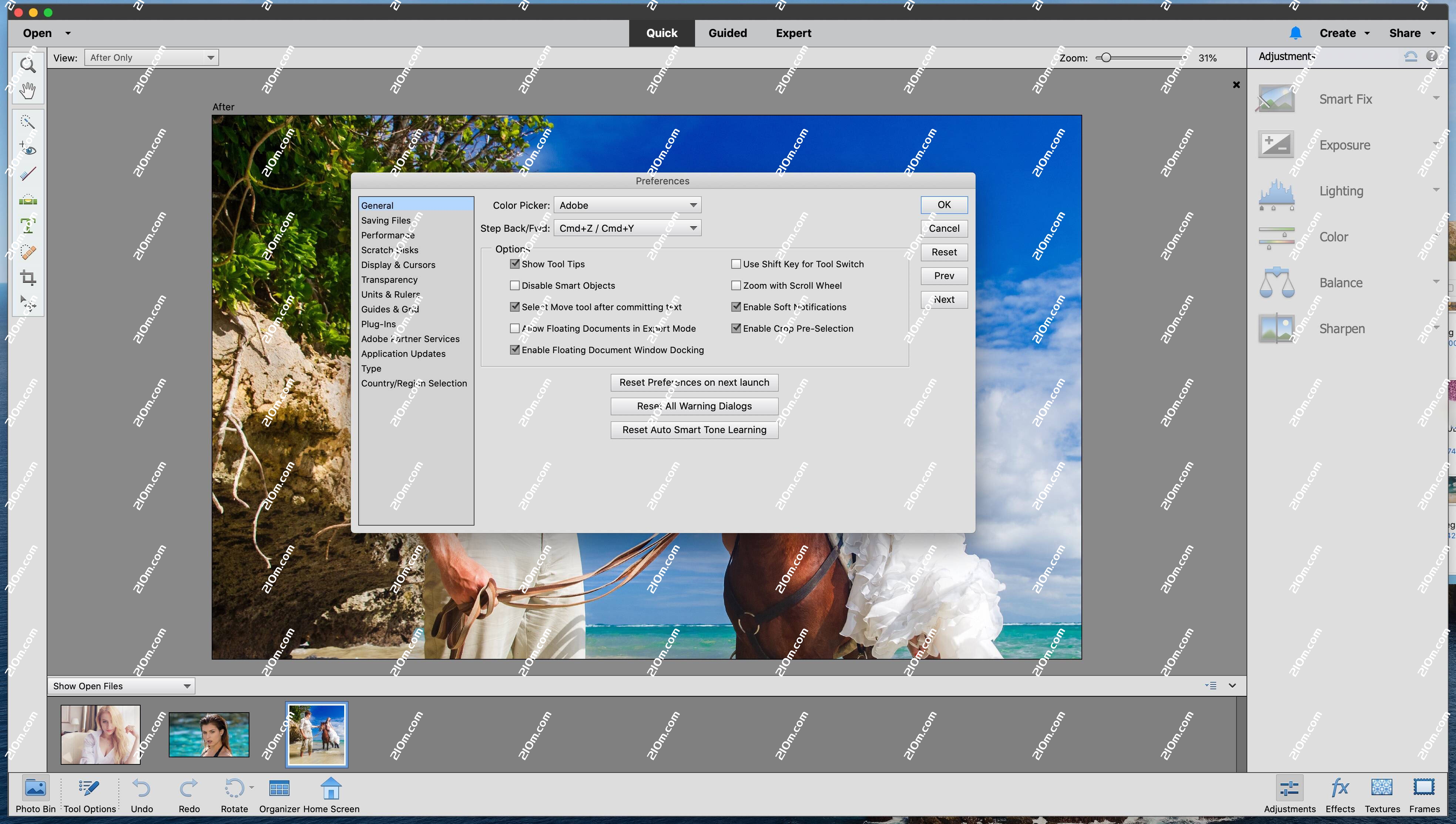 Photoshop Elements 2020 for Mac(图形处理工具)的截图
