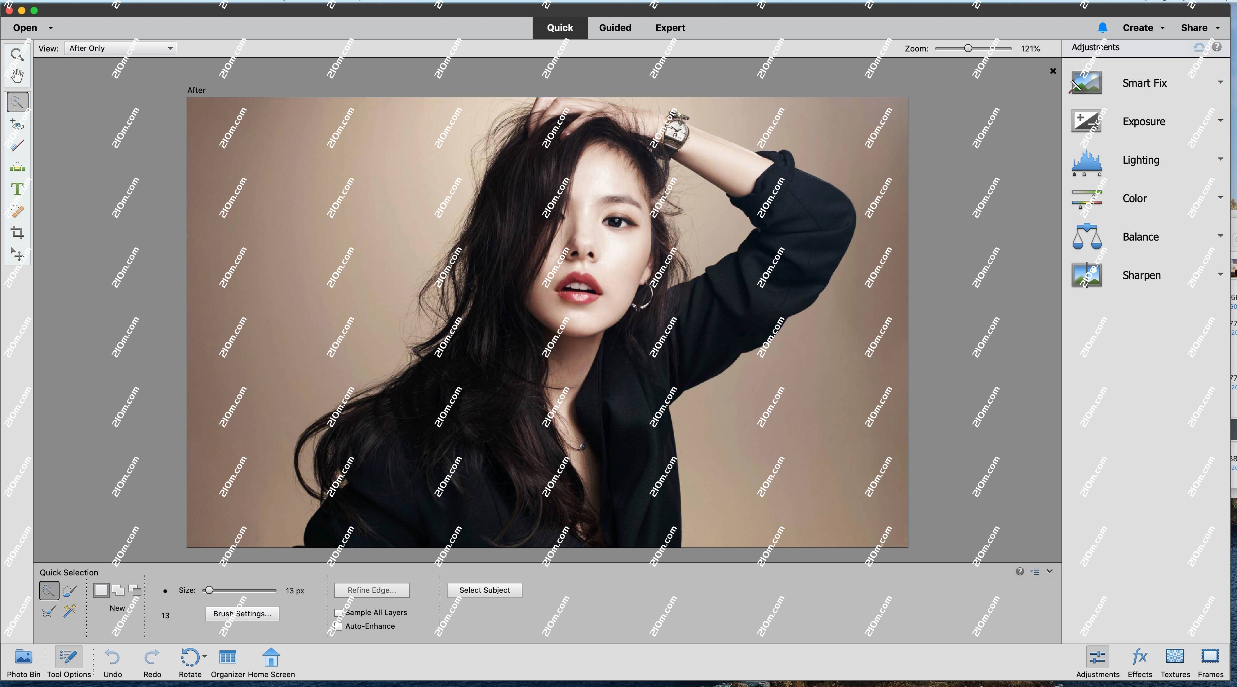 Photoshop Elements 2020 for Mac(图形处理工具)的截图