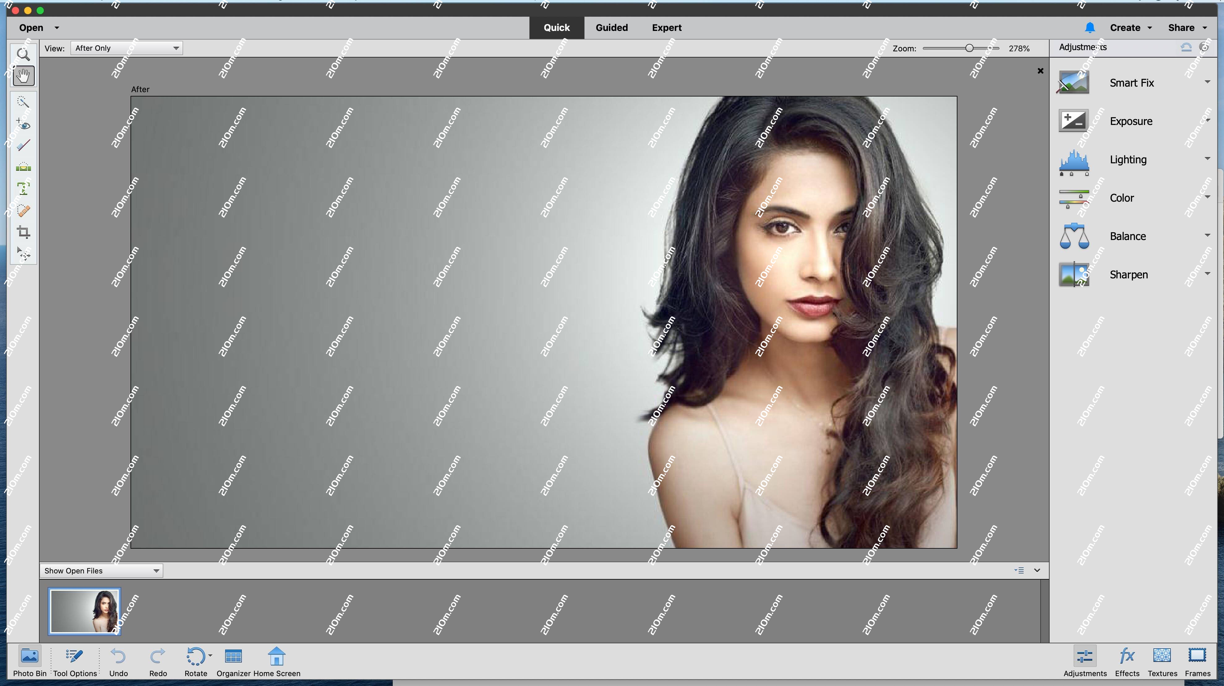 Photoshop Elements 2020 for Mac(图形处理工具)的截图