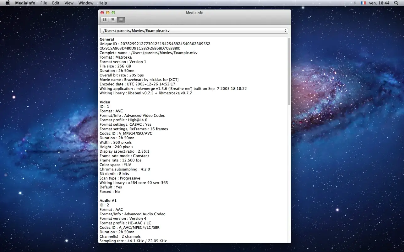 MediaInfo for mac(媒体信息检测软件)的截图