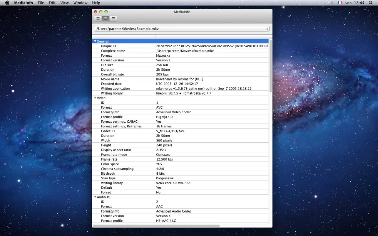 MediaInfo for mac(媒体信息检测软件)的截图