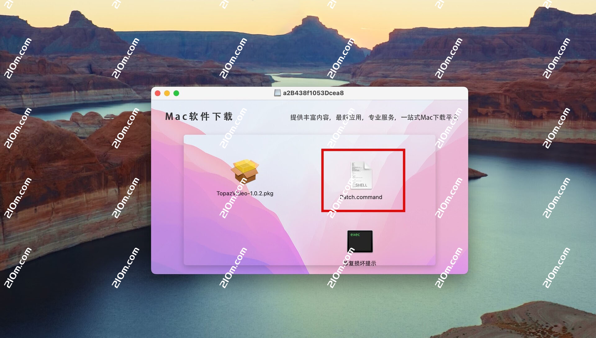 Topaz Video for mac(时域视频质量增强)