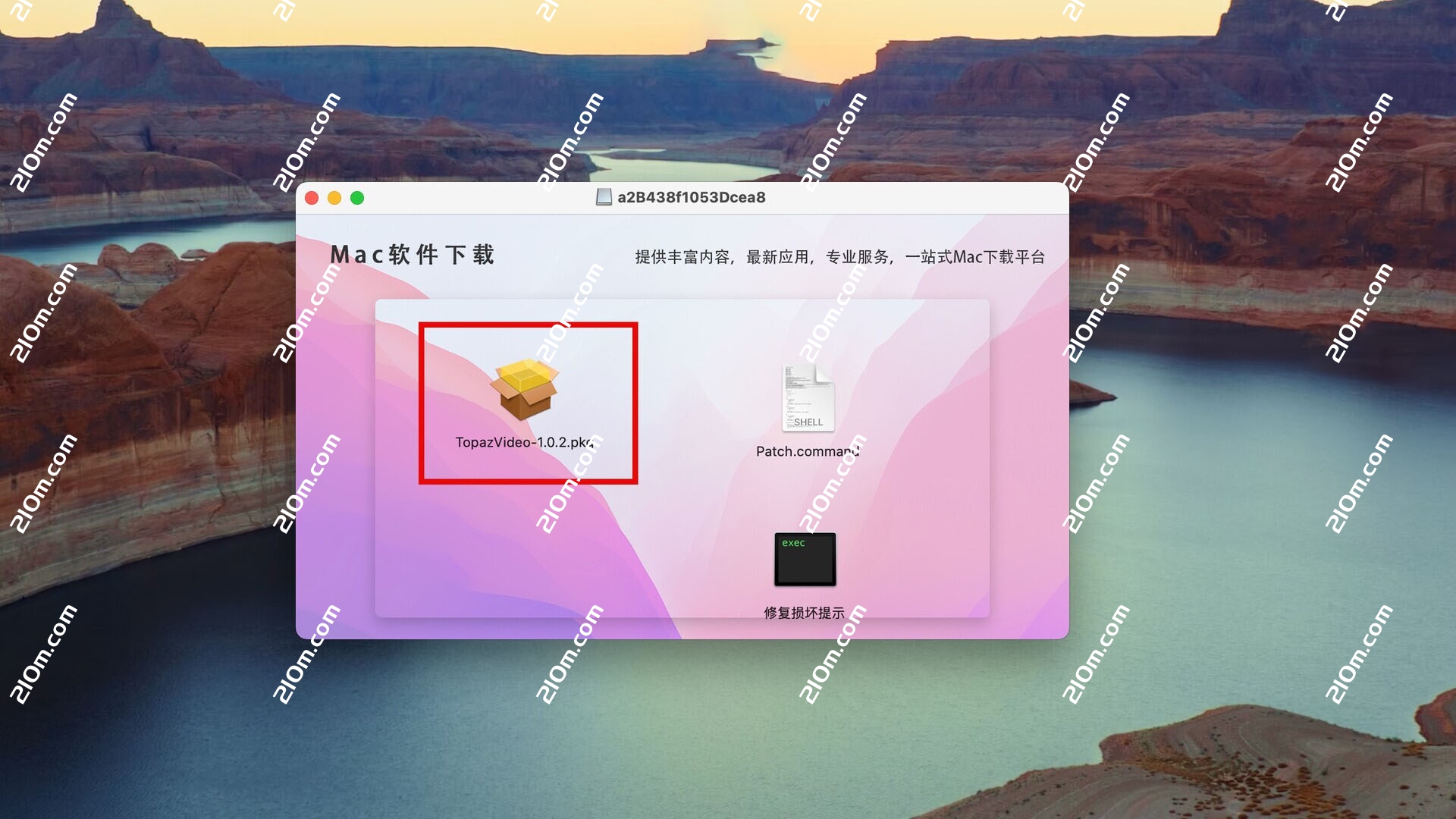 Topaz Video for mac(时域视频质量增强)