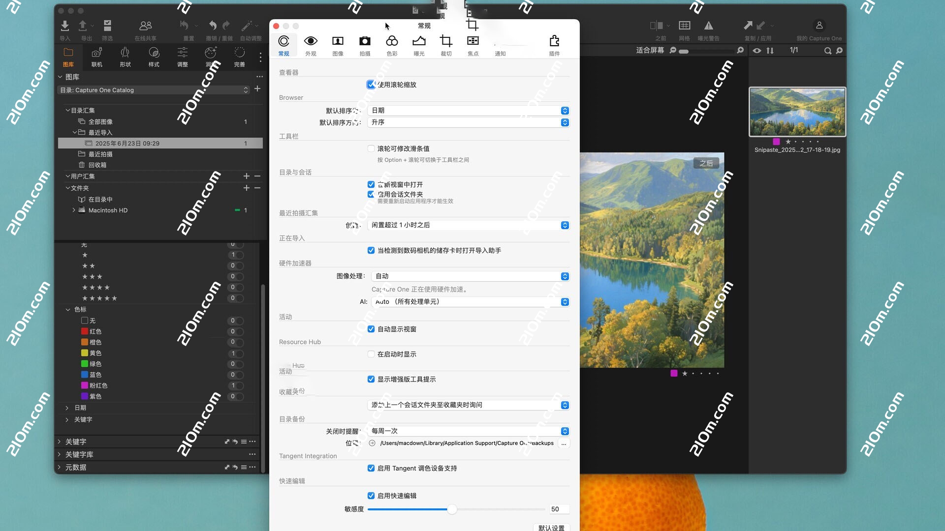 Capture One Studio for mac( RAW 转换器)的截图